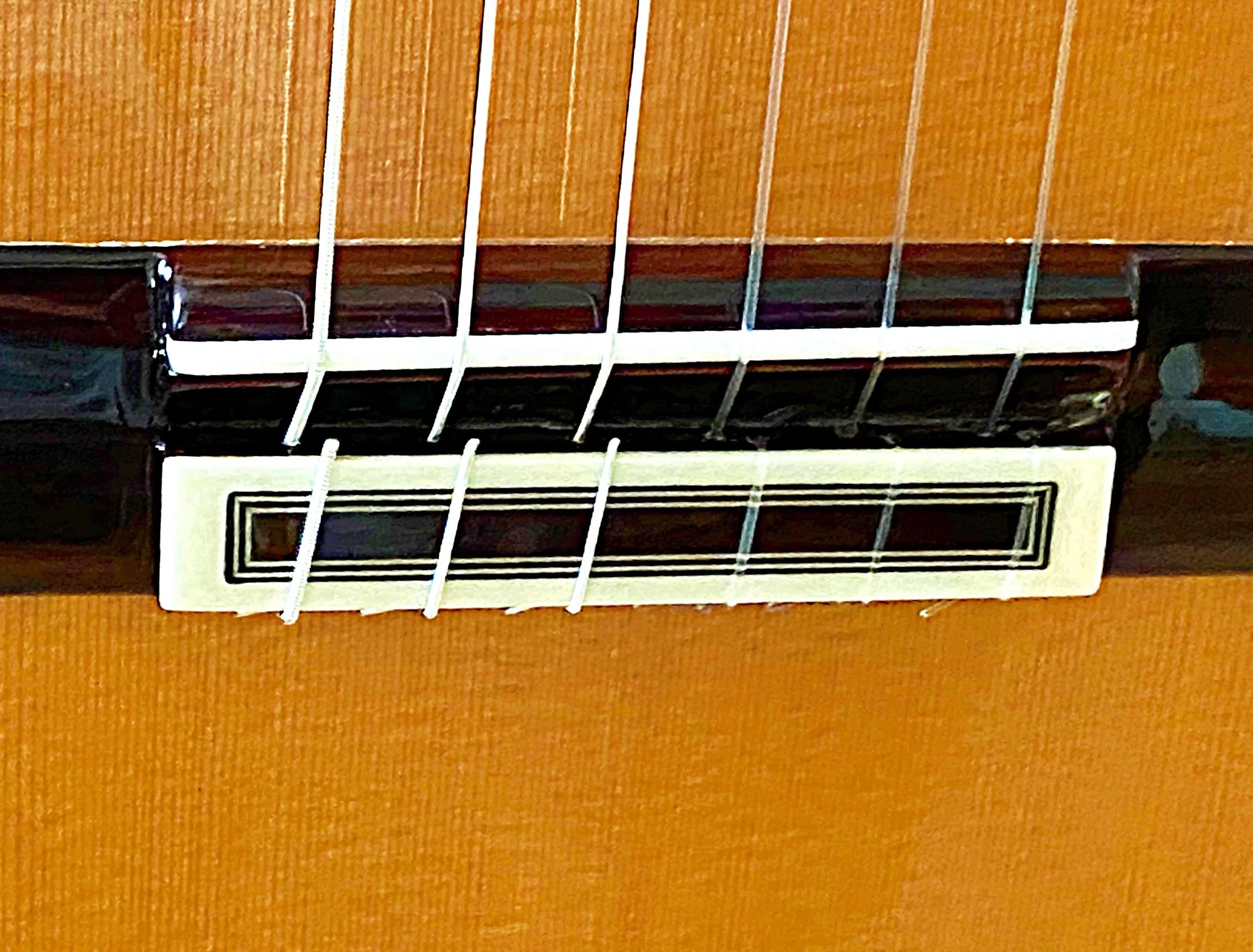 2023 Juan Hernandez-Magificate (43)-bdgx2.jpeg