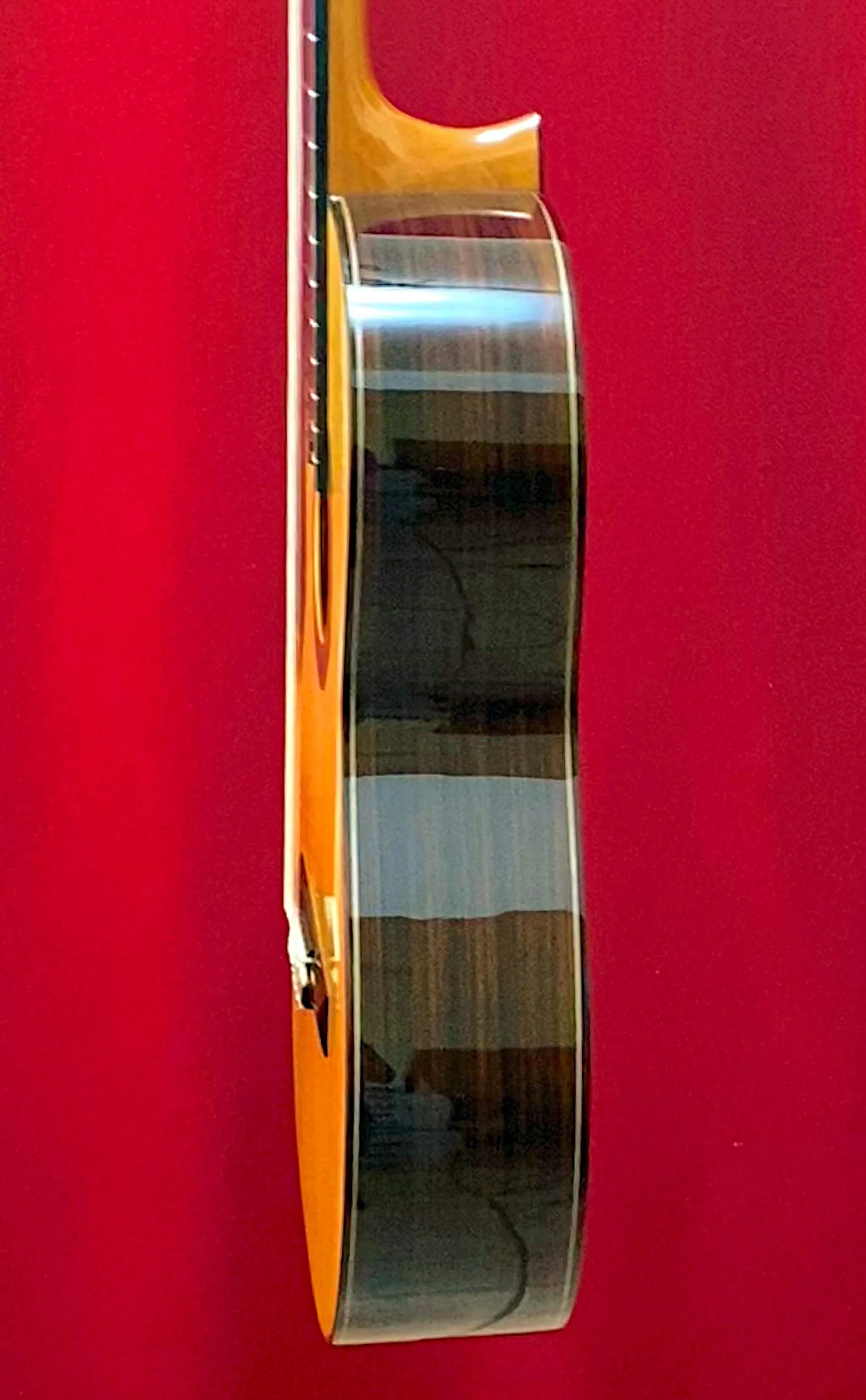 2023-Juan Hernandez-Hauser (294)-sdtx1.jpeg