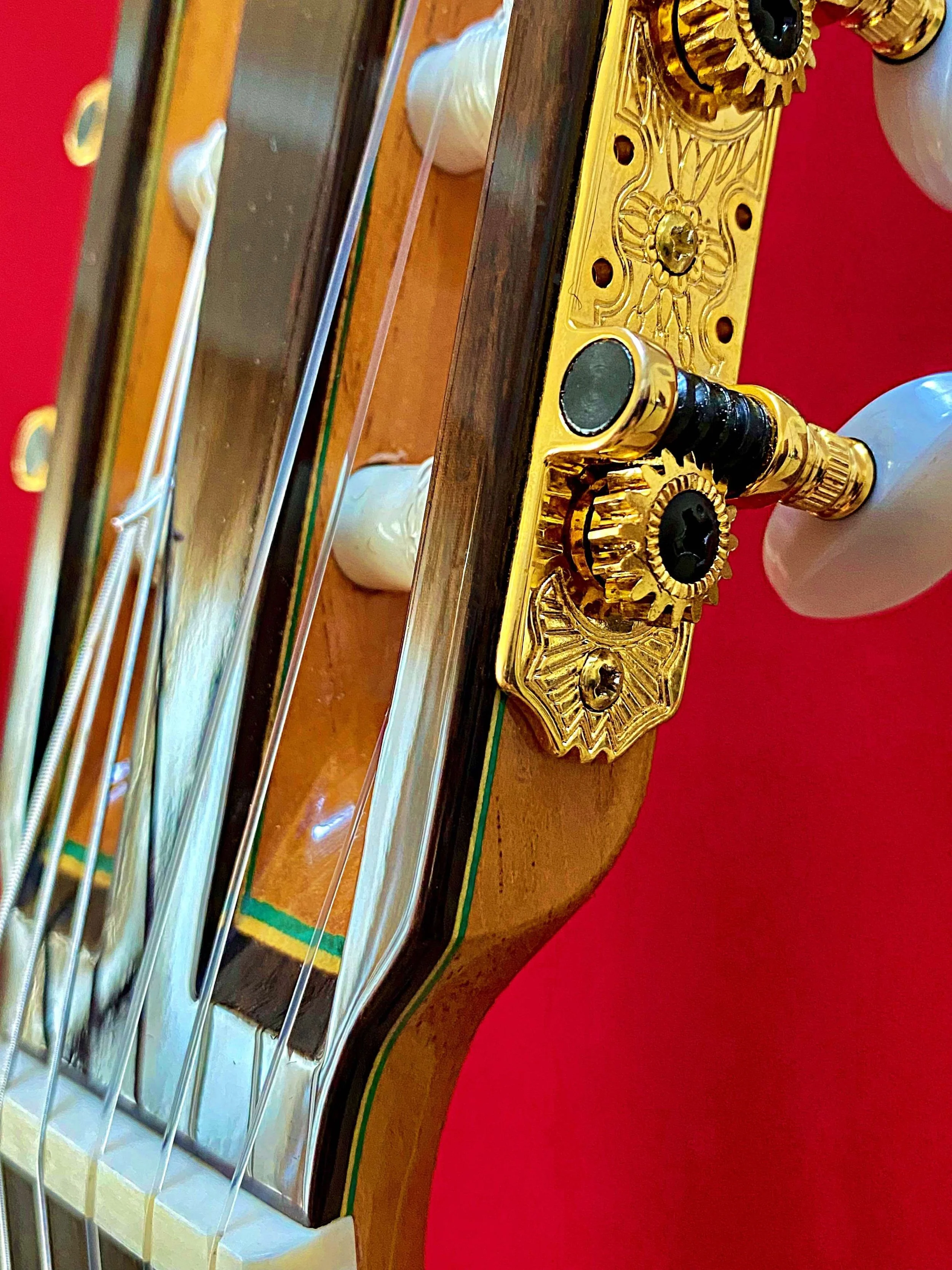 Juan Hernandez-Viviana CL (1858)-grs1.jpeg