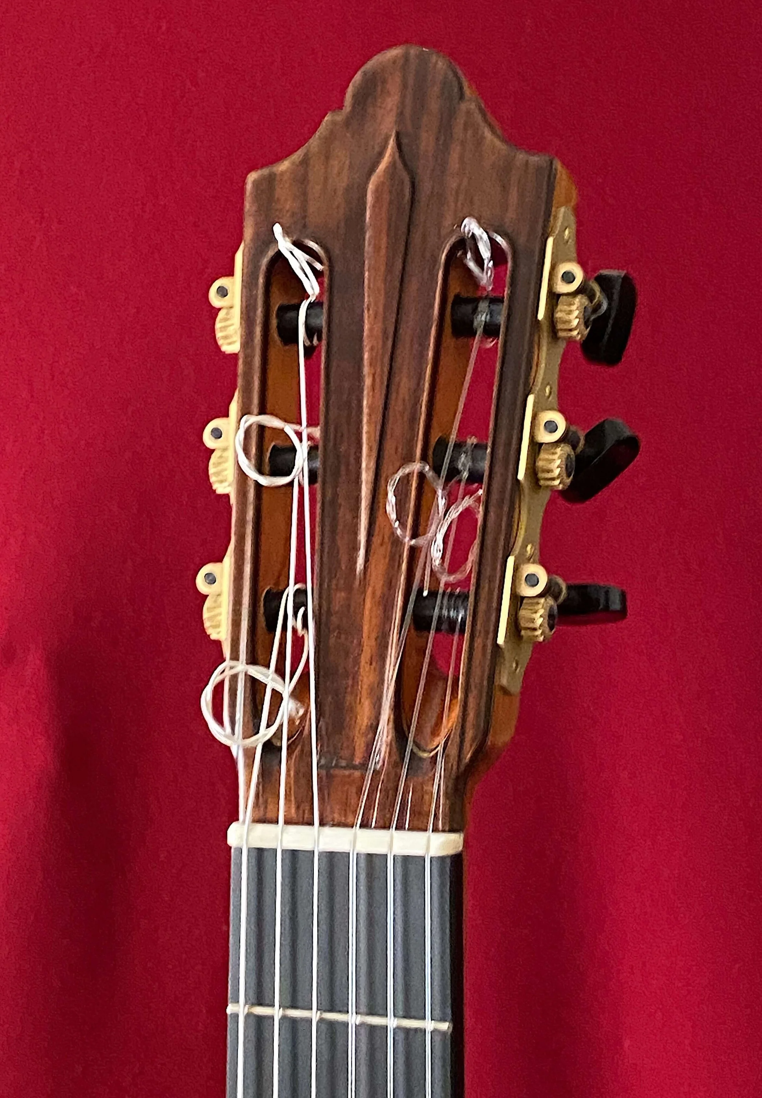 2023-Valentim Carlos Gomes-hd3.jpeg