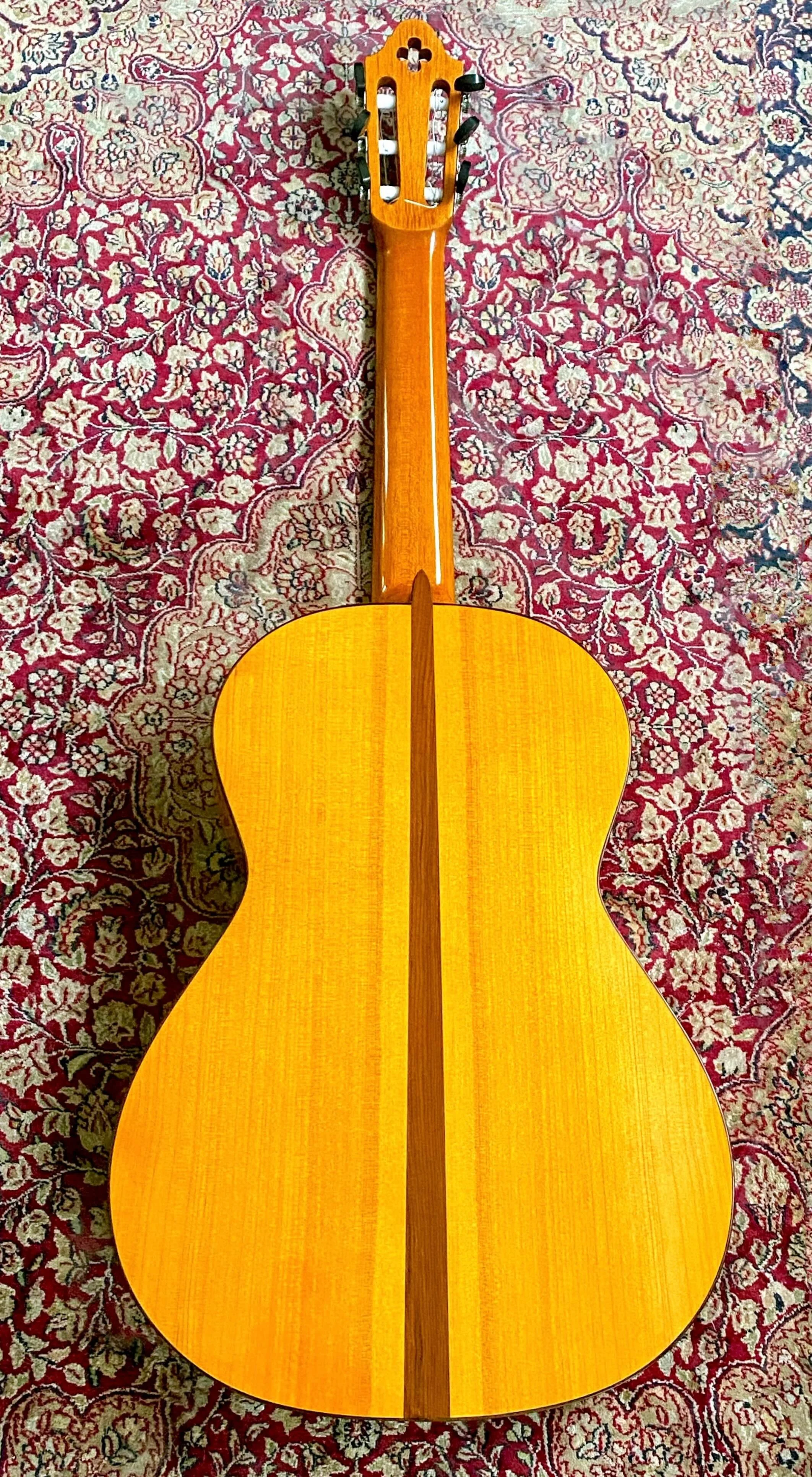 2024 Jesus Bellido Alma Aurea flamenco-bk.jpeg