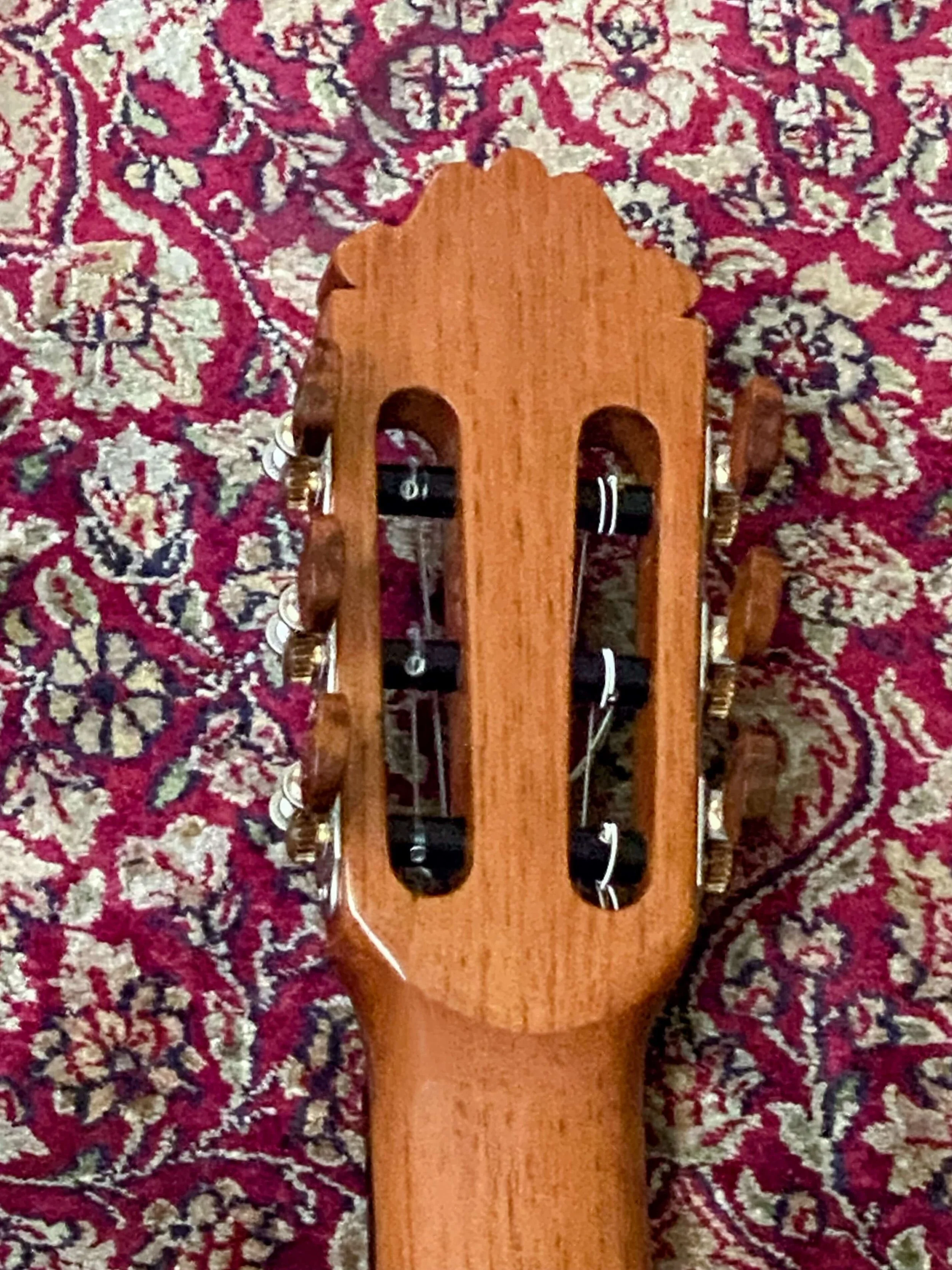 2024 PB-M20s-bkhd2.jpg