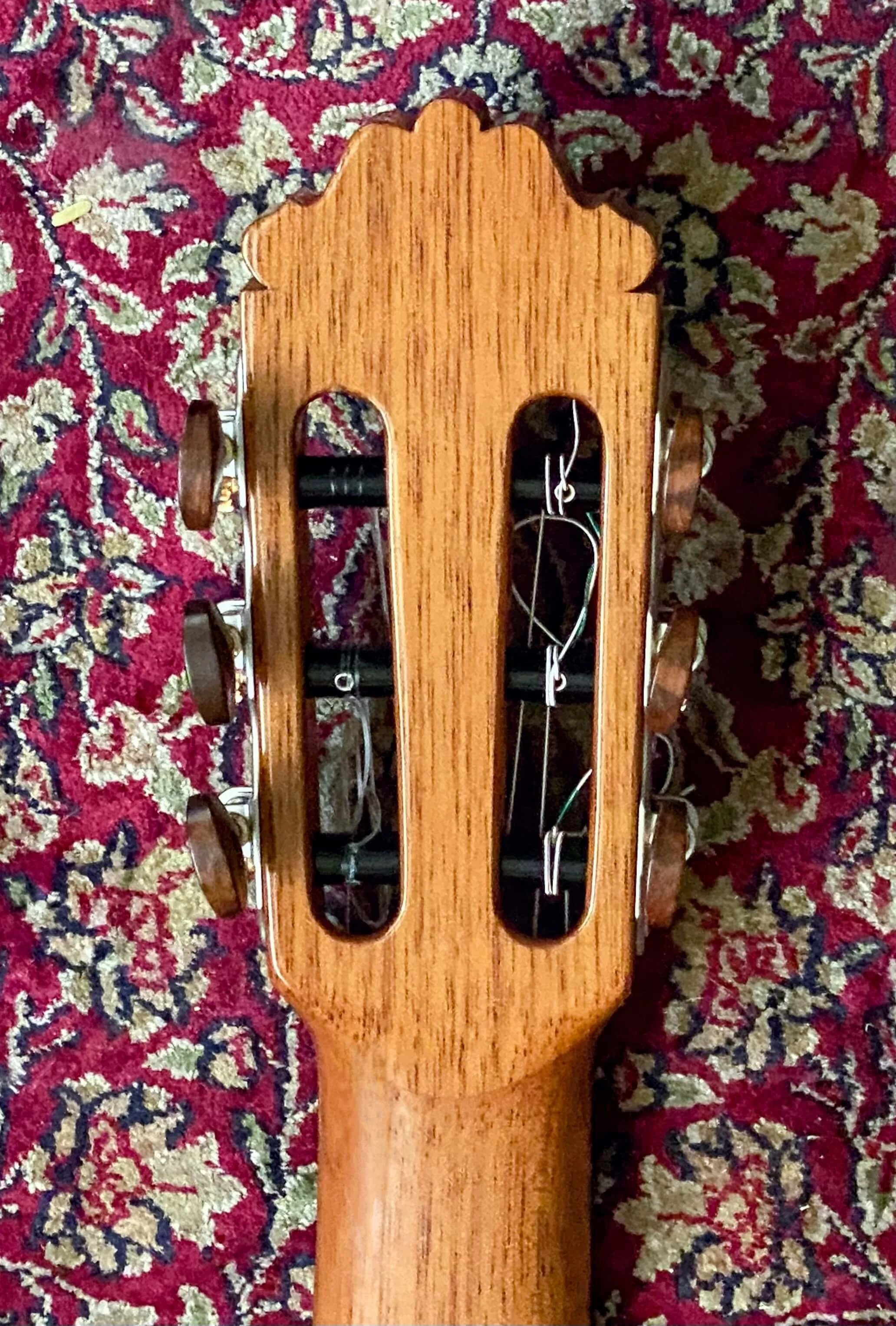 2024 PB-M20c-bkhd1.jpg