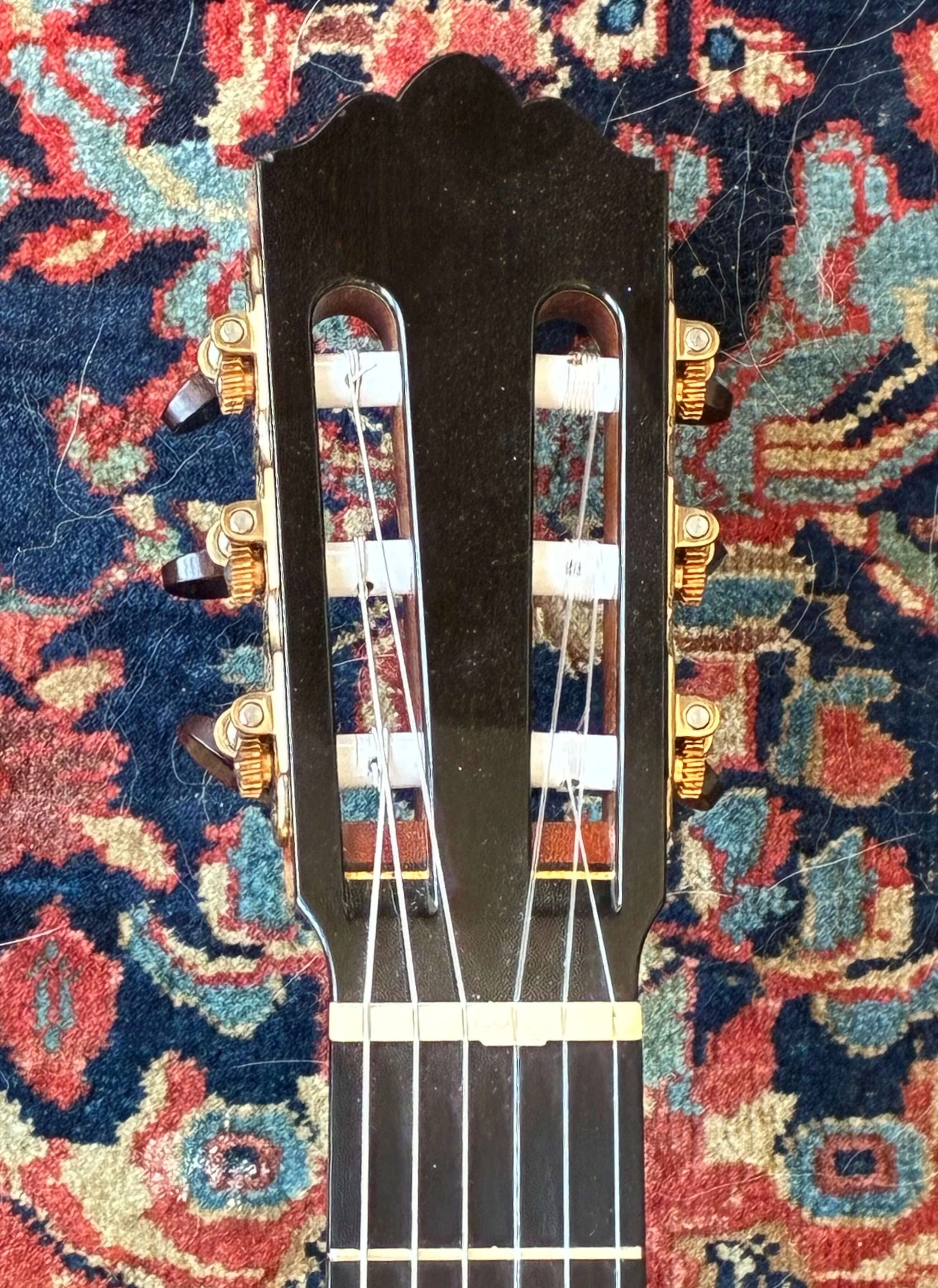 1996 Robert Ruck-Cutaway-hd.jpg