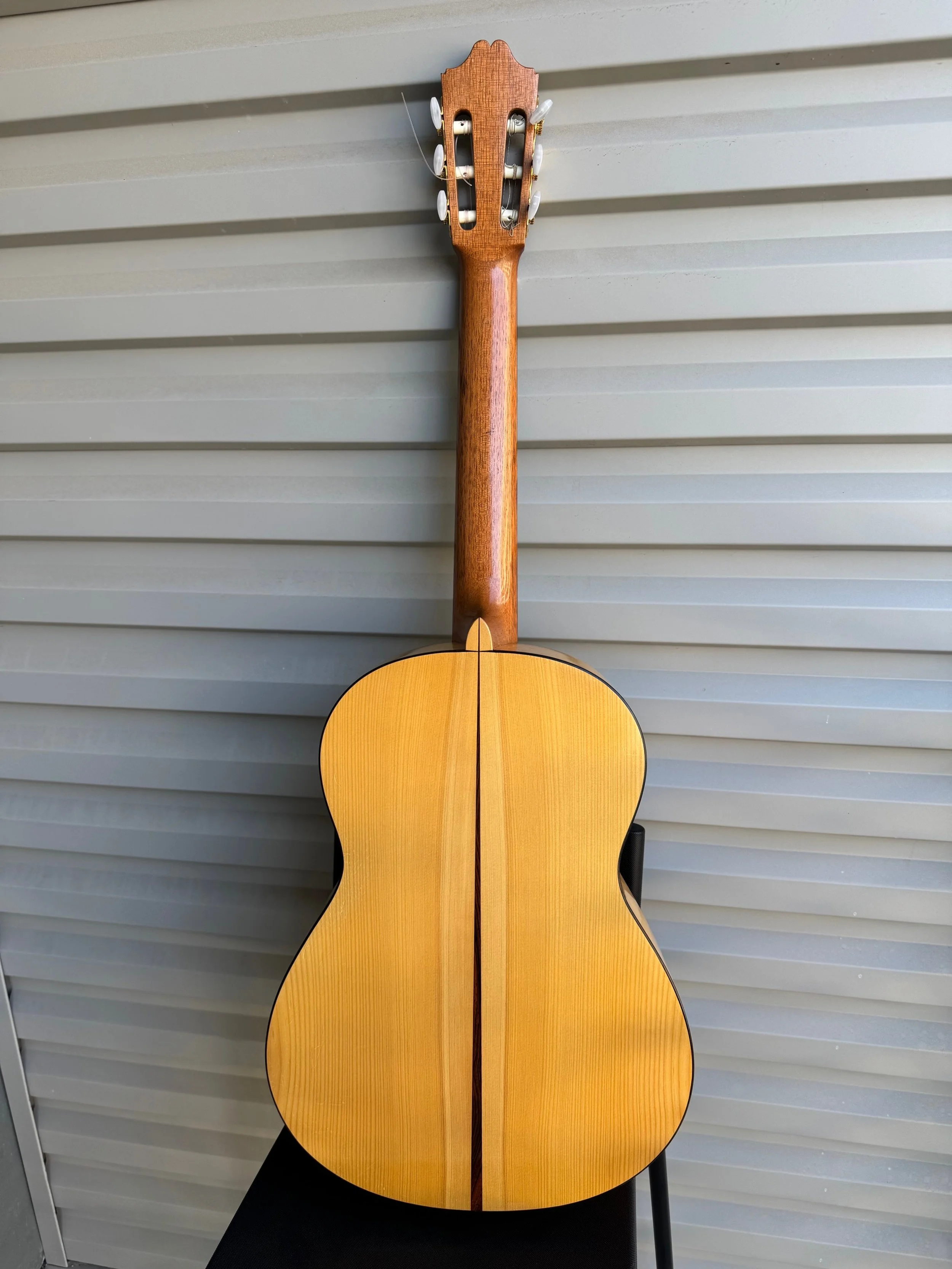 2005 Antoniio Raya Pardo Flamenco-bk.JPG