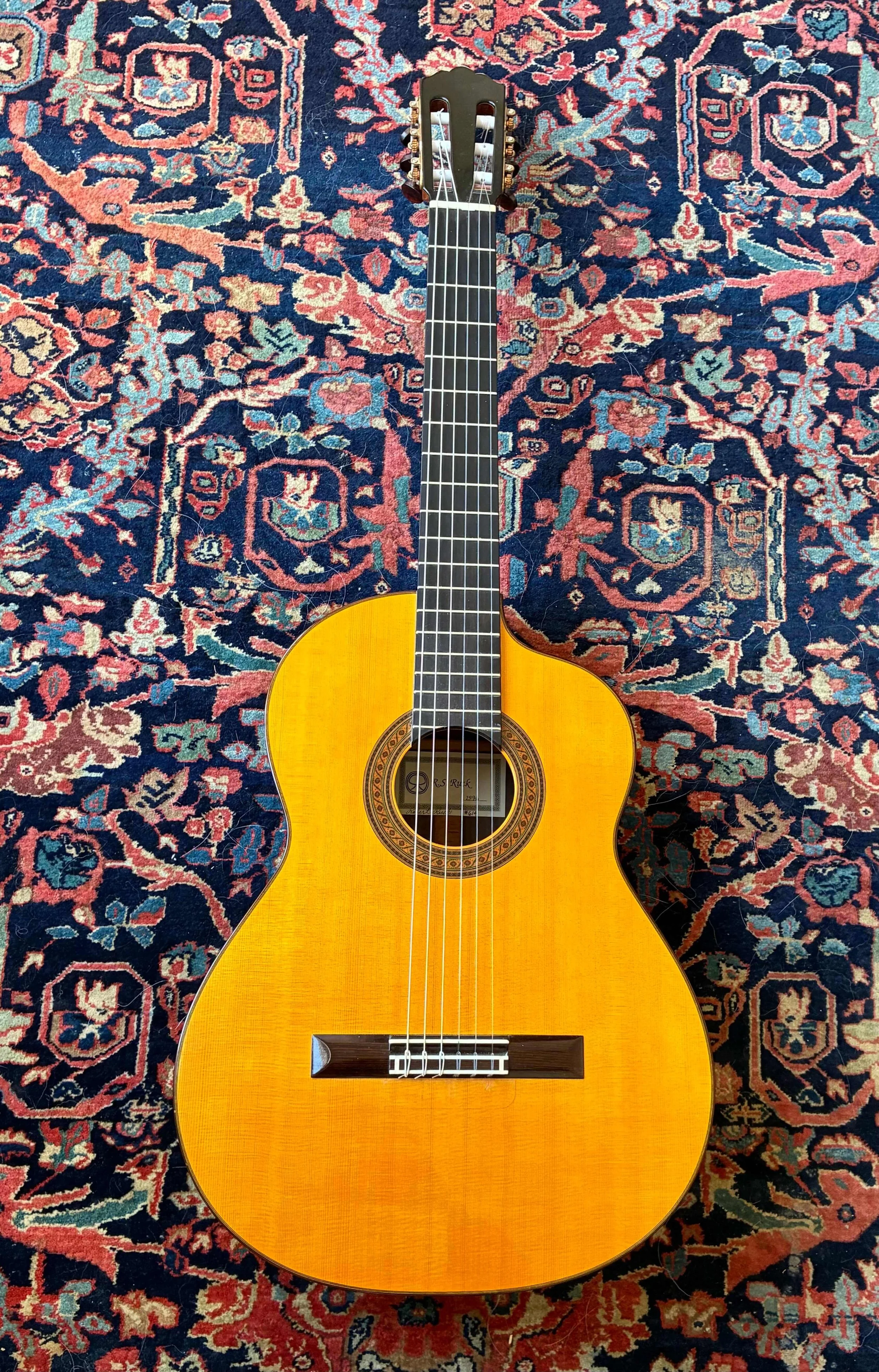 1996 Robert Ruck-Cutaway-ft.jpeg