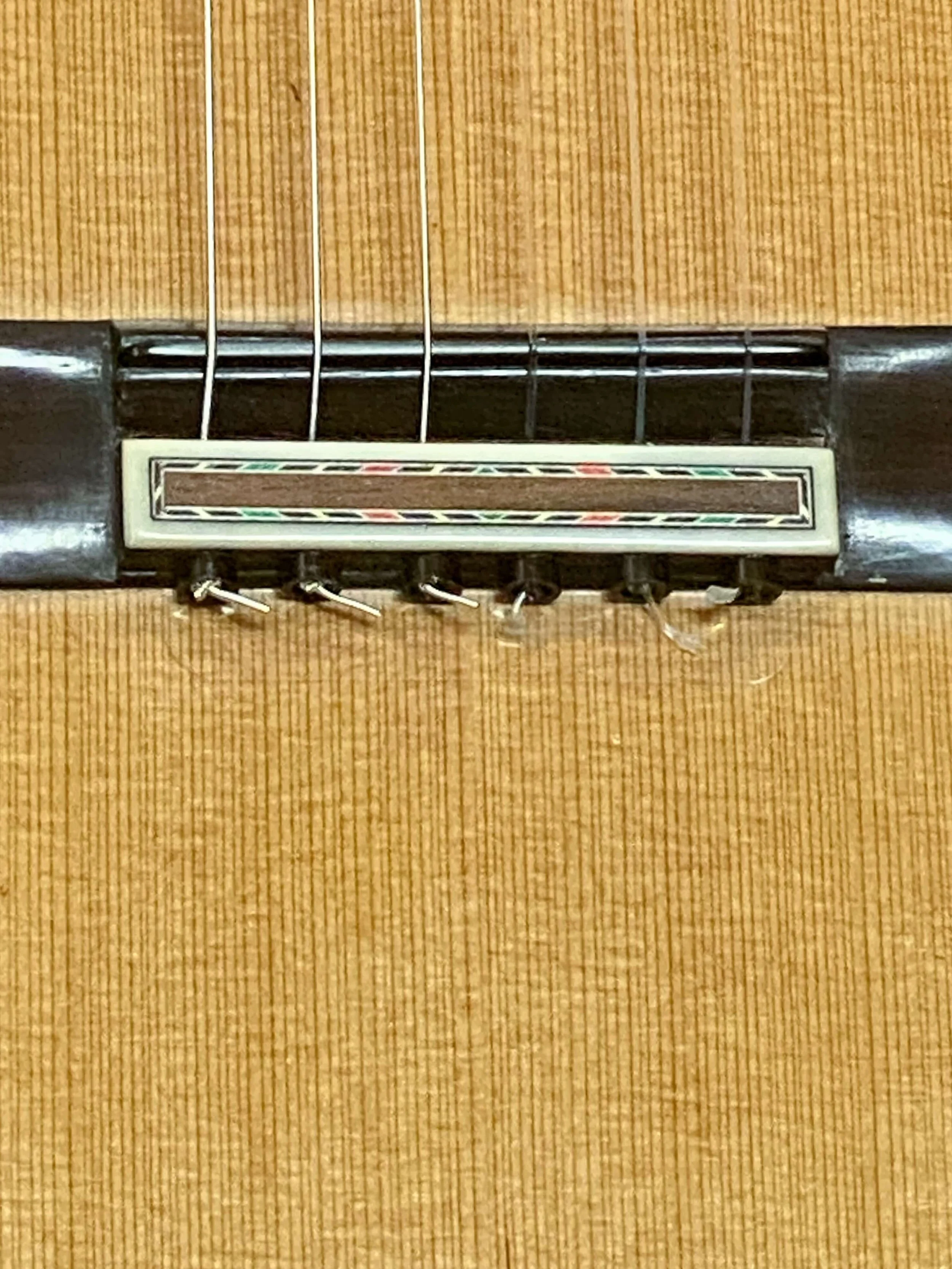 2024 PB-M50c-bdgx1.jpg