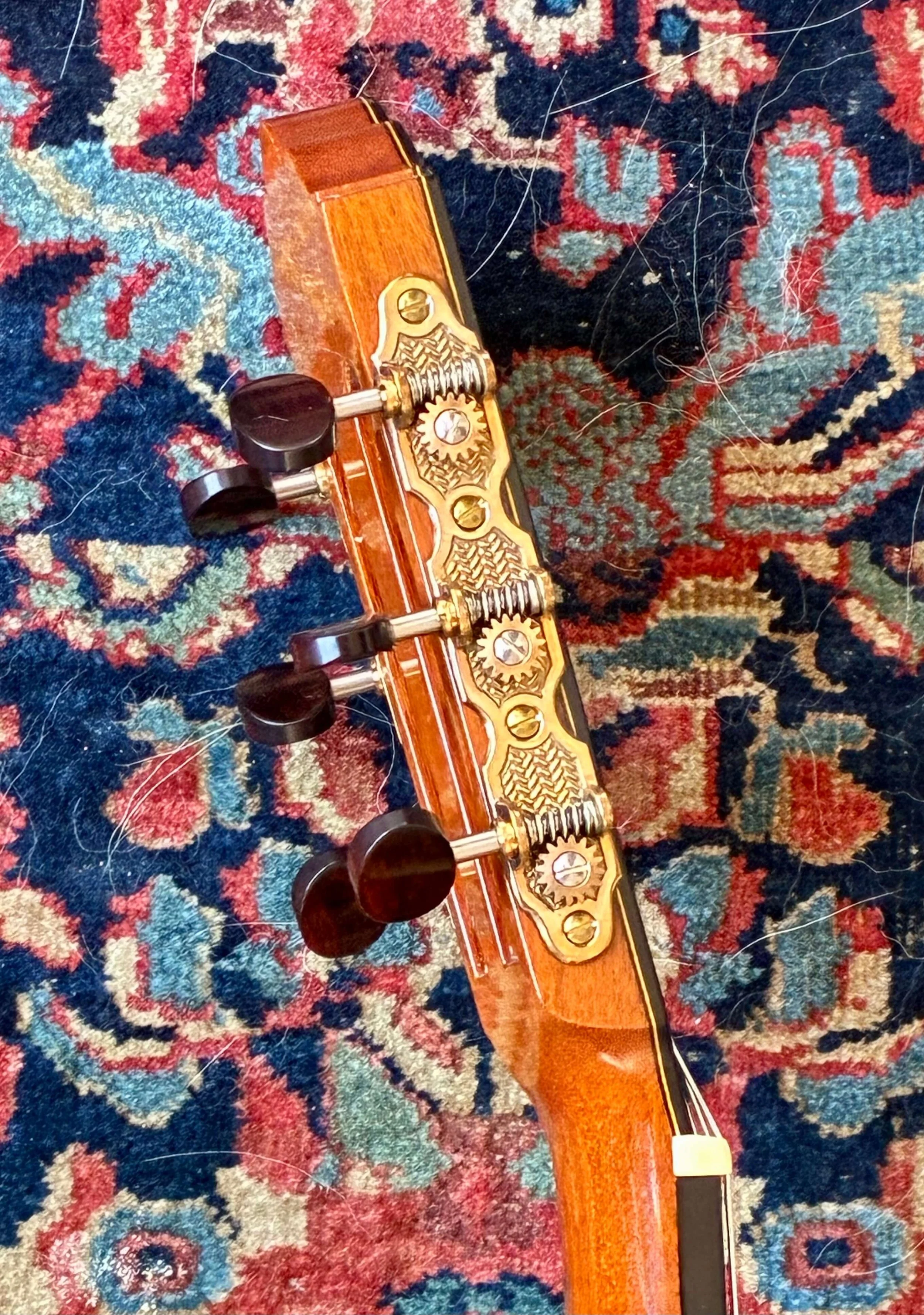 1996 Robert Ruck-Cutaway-grs.jpg