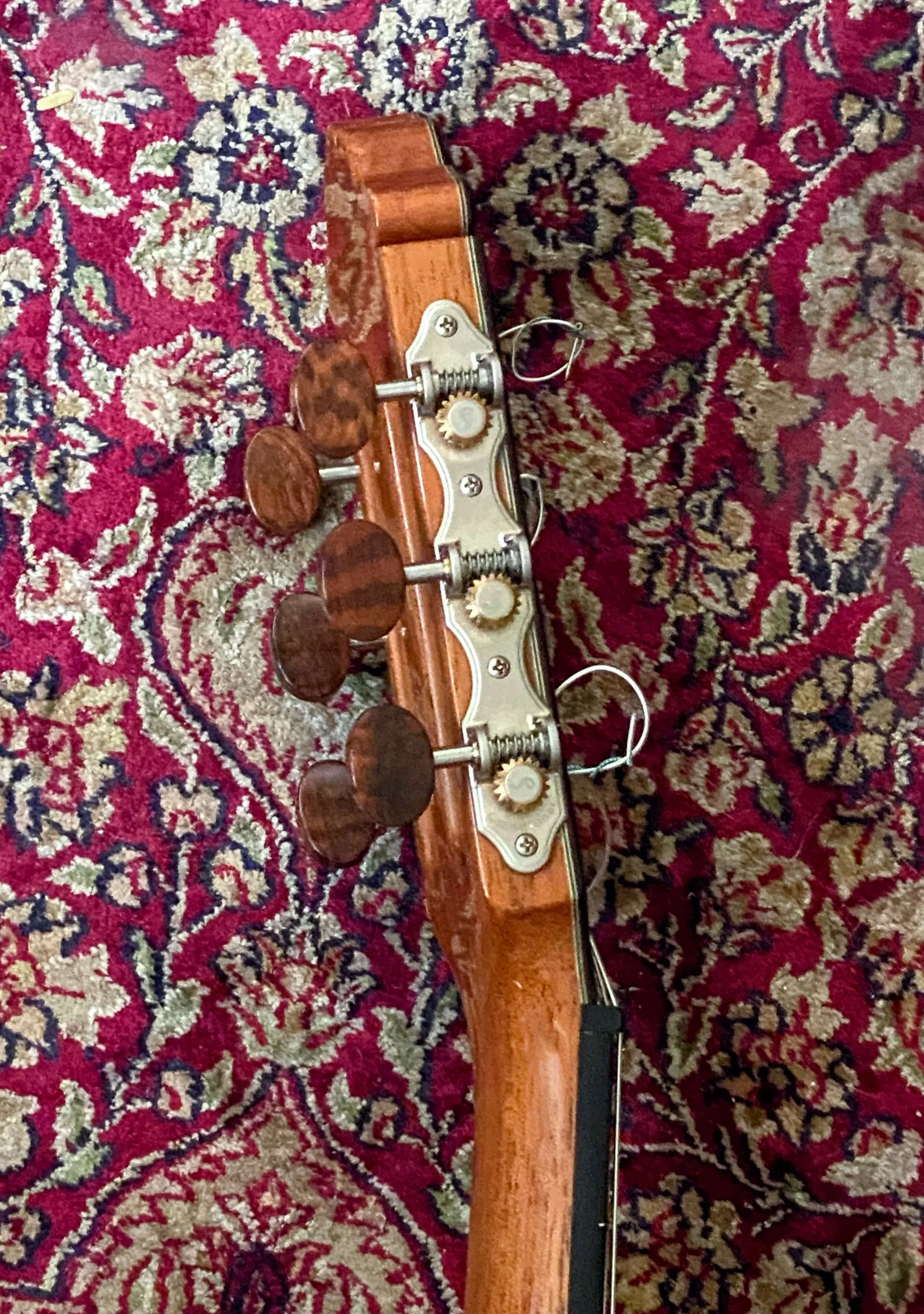 2024 PB-M20c-grs1.jpg