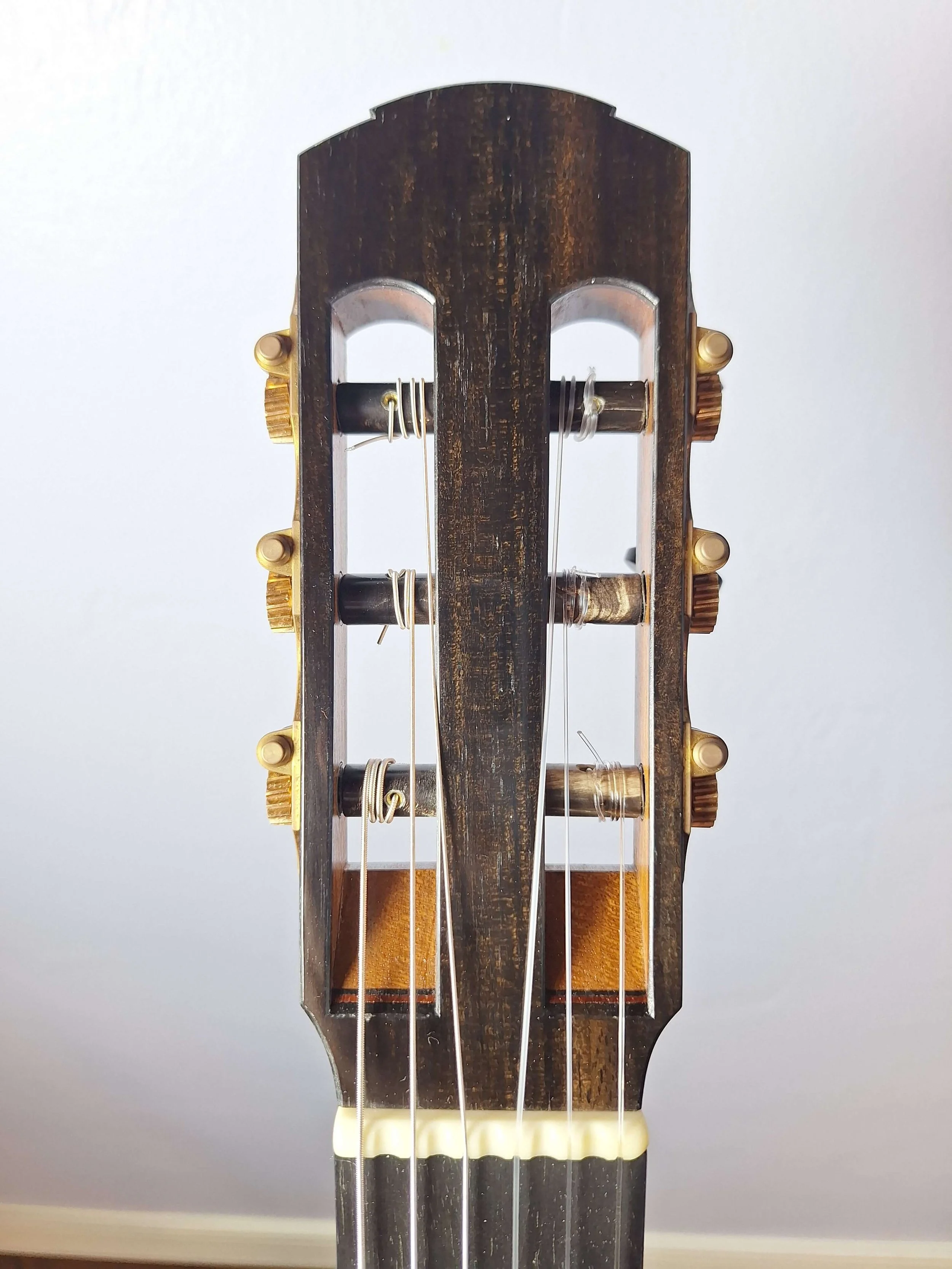 Headstock 2Dennis Tolz 2020.jpg