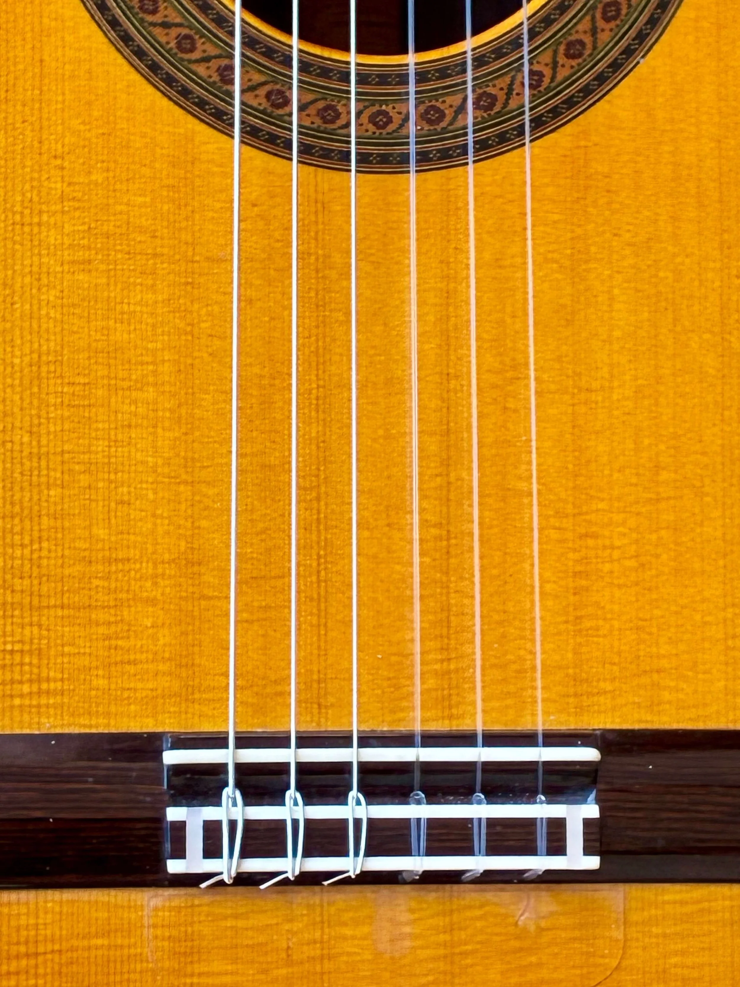 1996 Robert Ruck-Cutaway-bdg.jpg