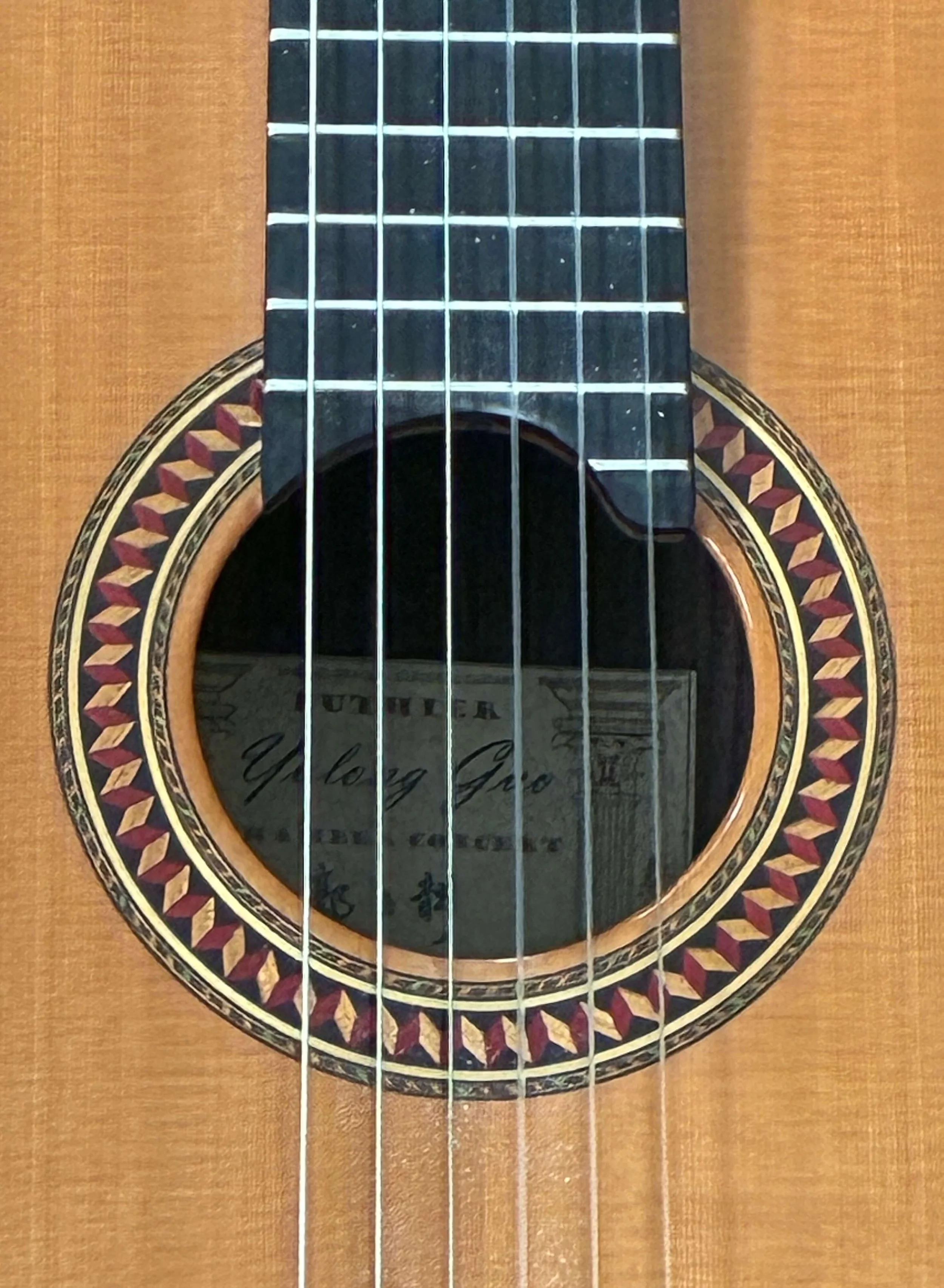 2023 Yulong Guo-rz.jpg