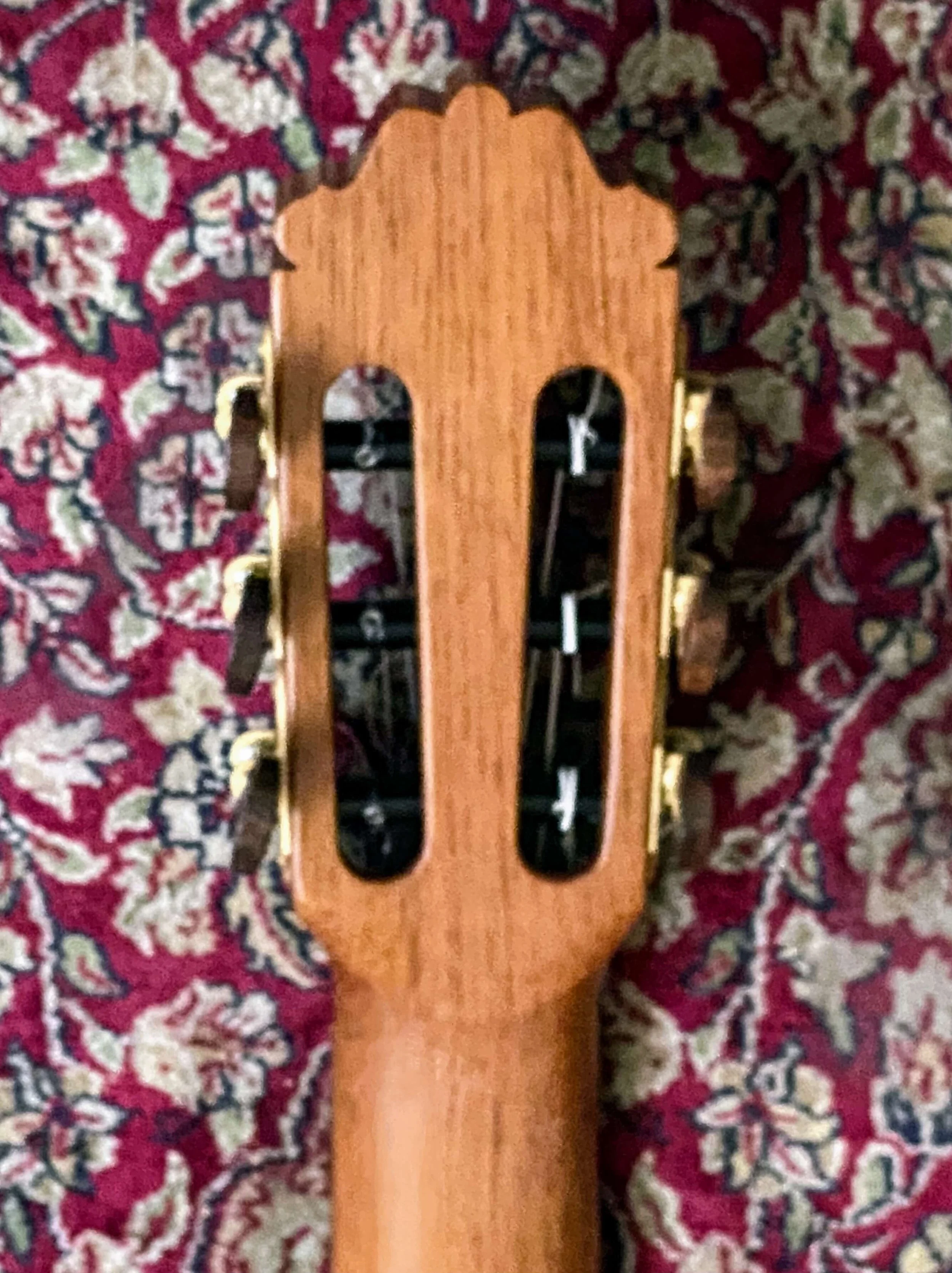 2024 PB-M50s-bkhd1.jpg