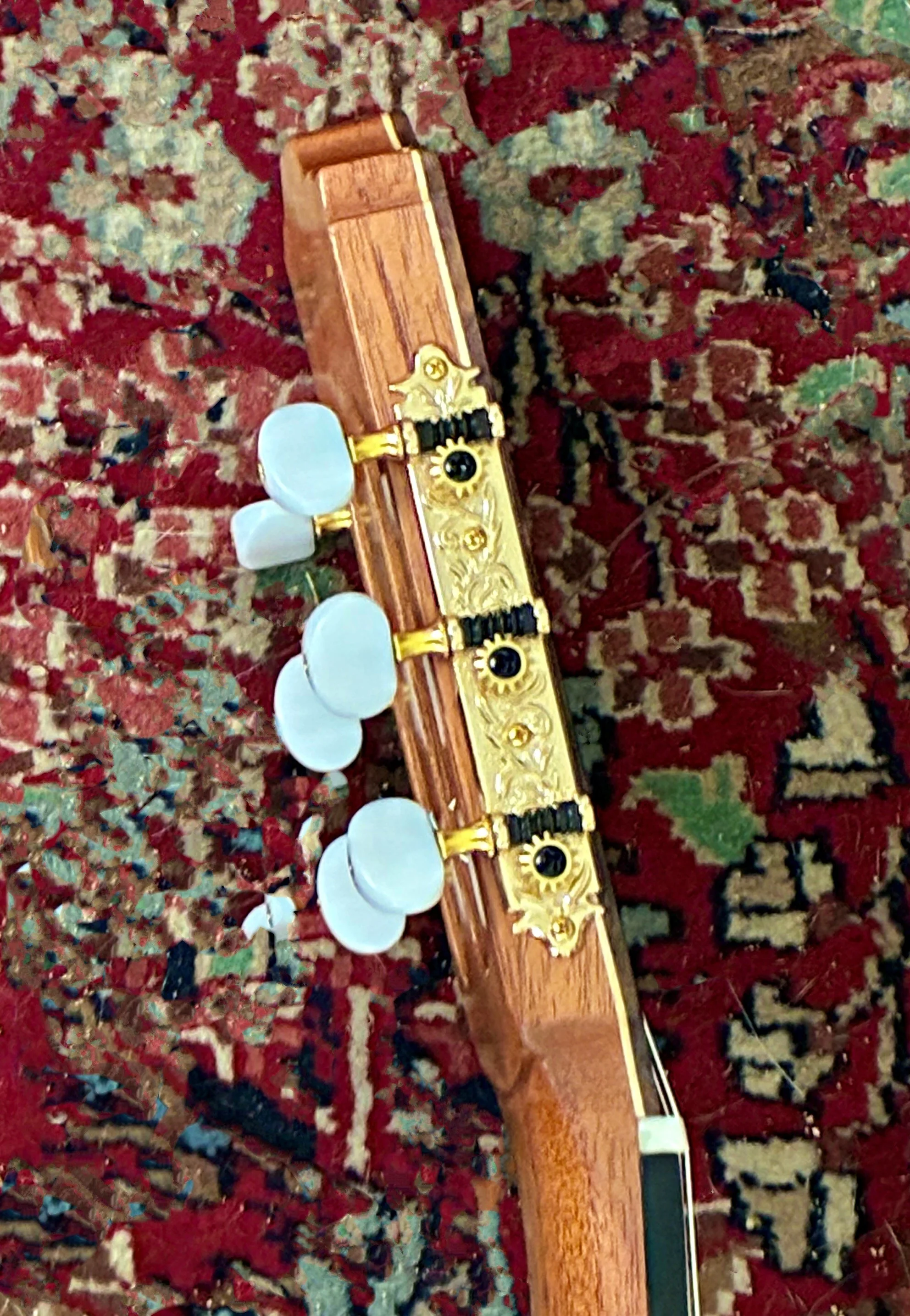 2025 Douglas Hamp-cl-grs.jpeg