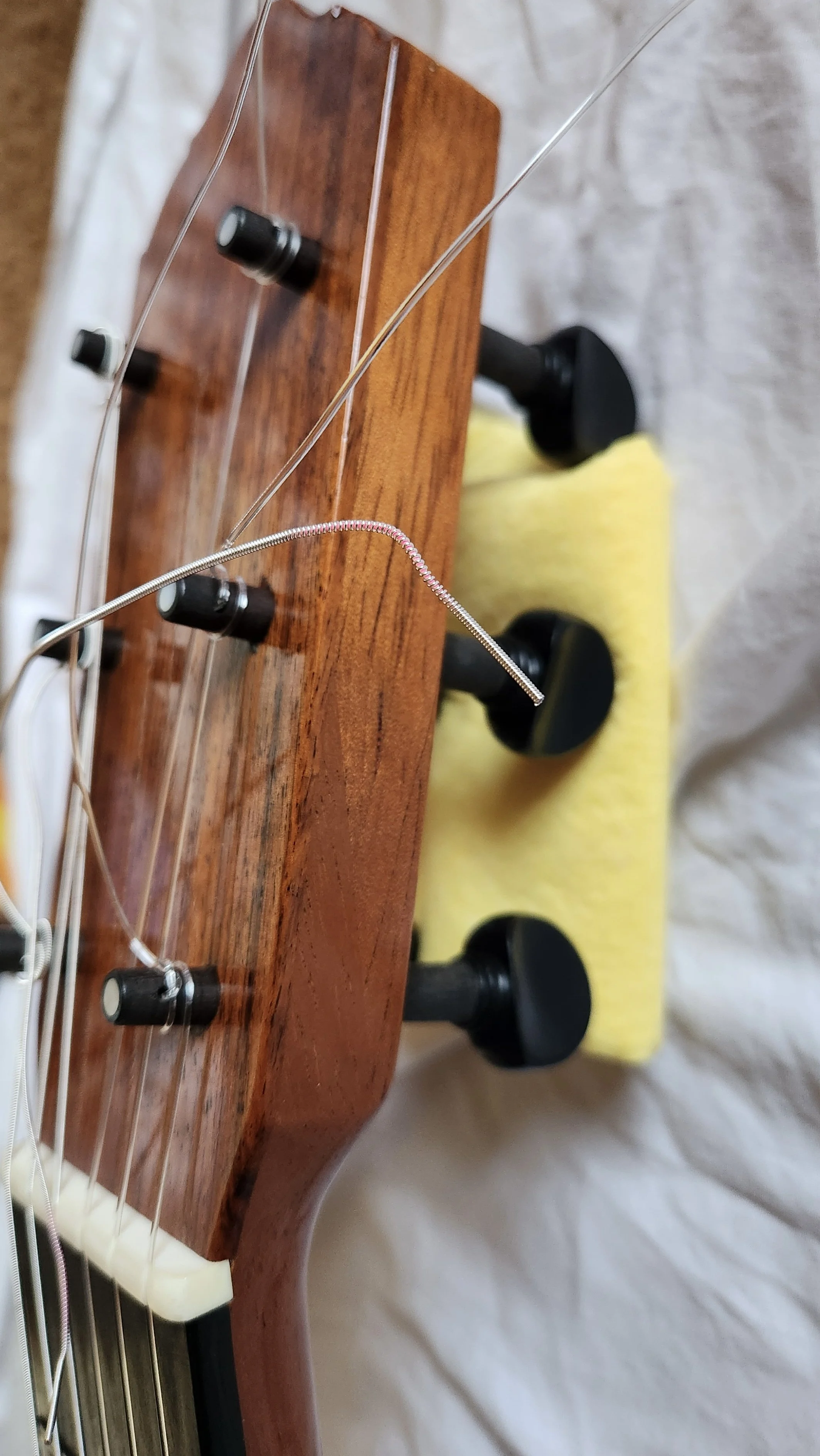 1986 Lester Devoe Fl-pegs4.jpg