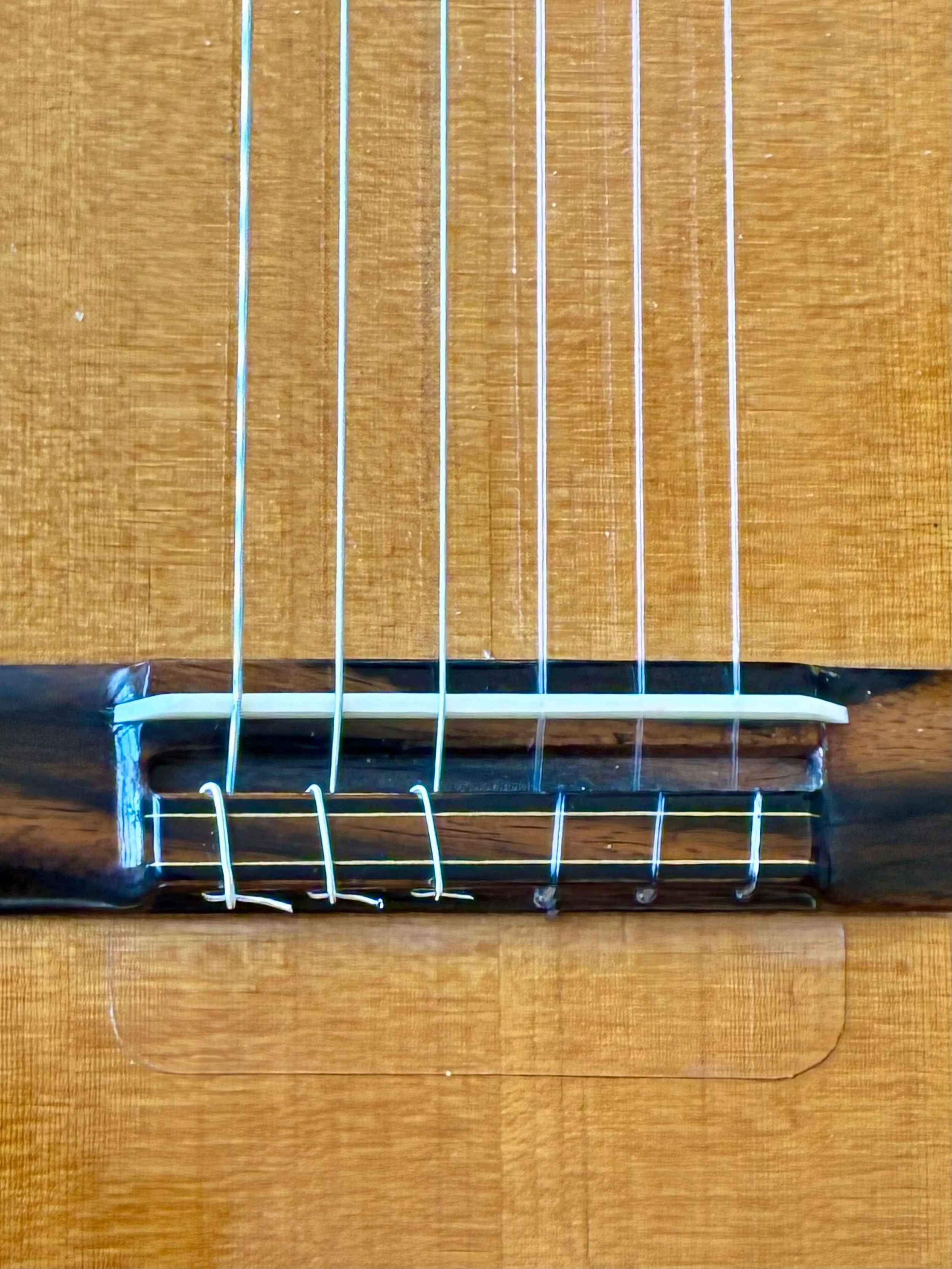 2018 OLeary-bdgx.jpg