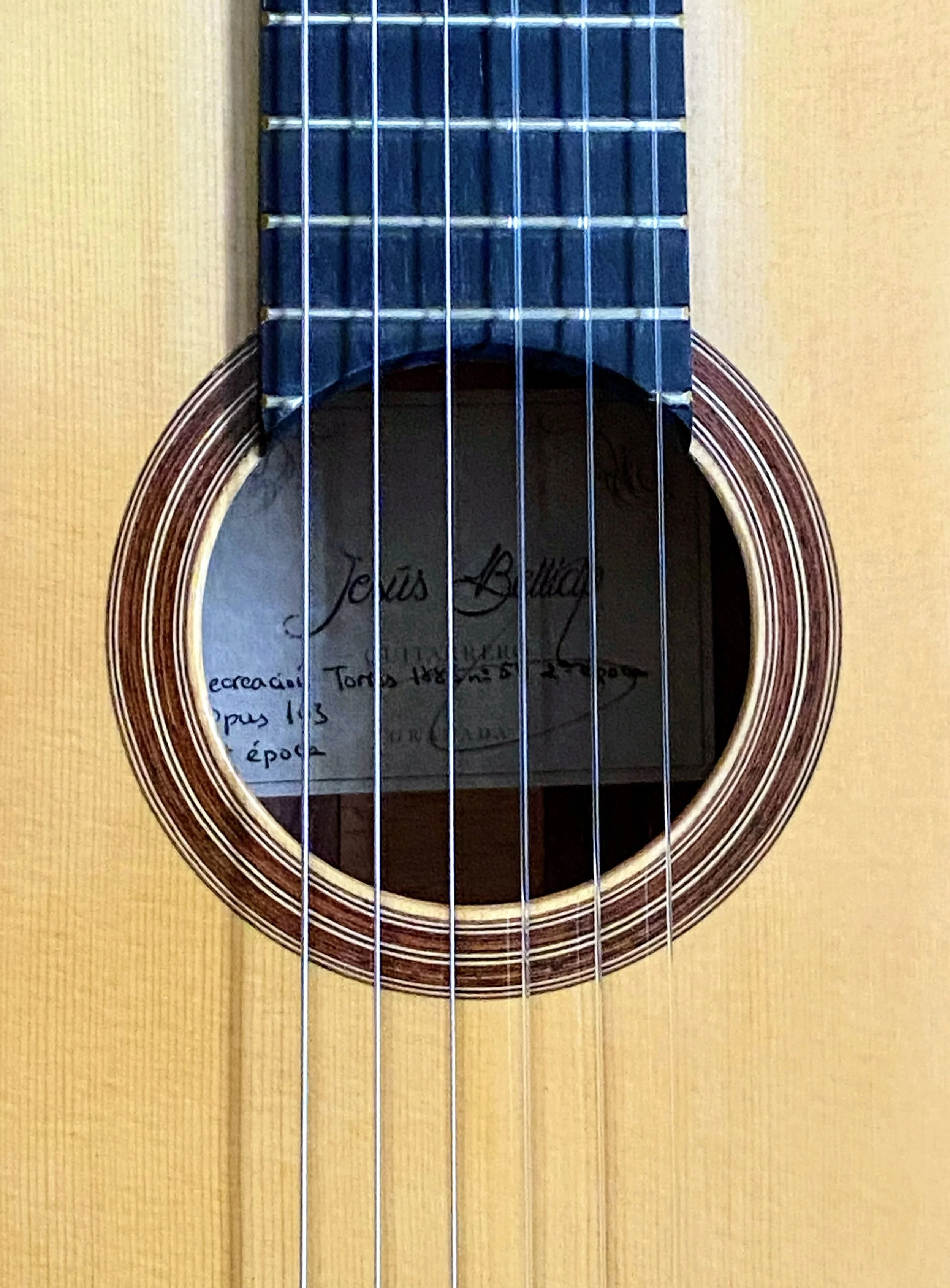 2024 Jesus Bellido-1883 Torres model-rz.jpeg