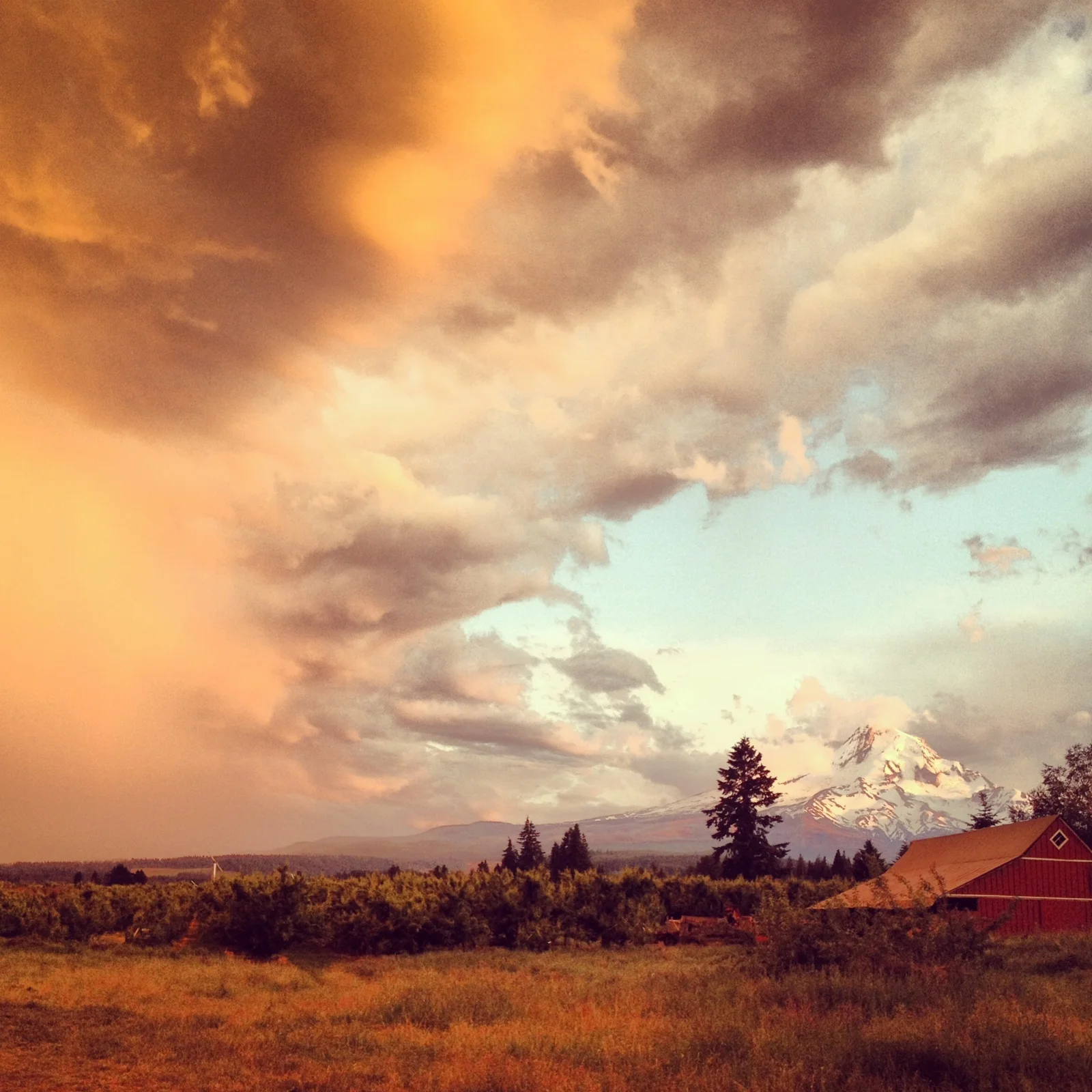 The Watering Hole in Parkdale OR