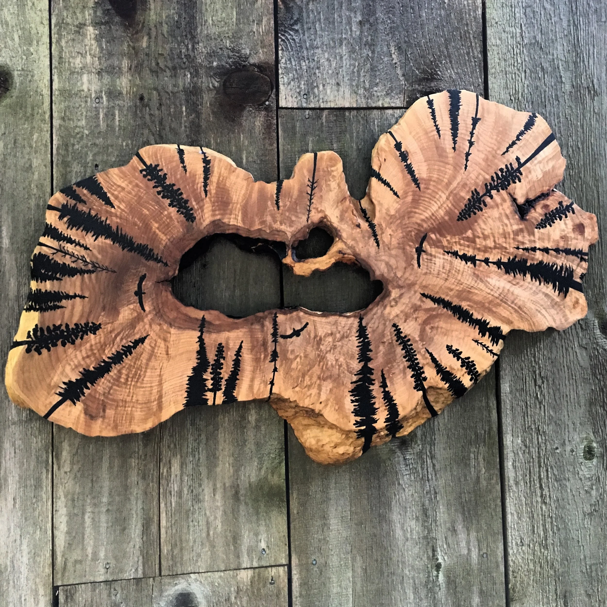 Hammock View on an Oregon Coast Maple Burl