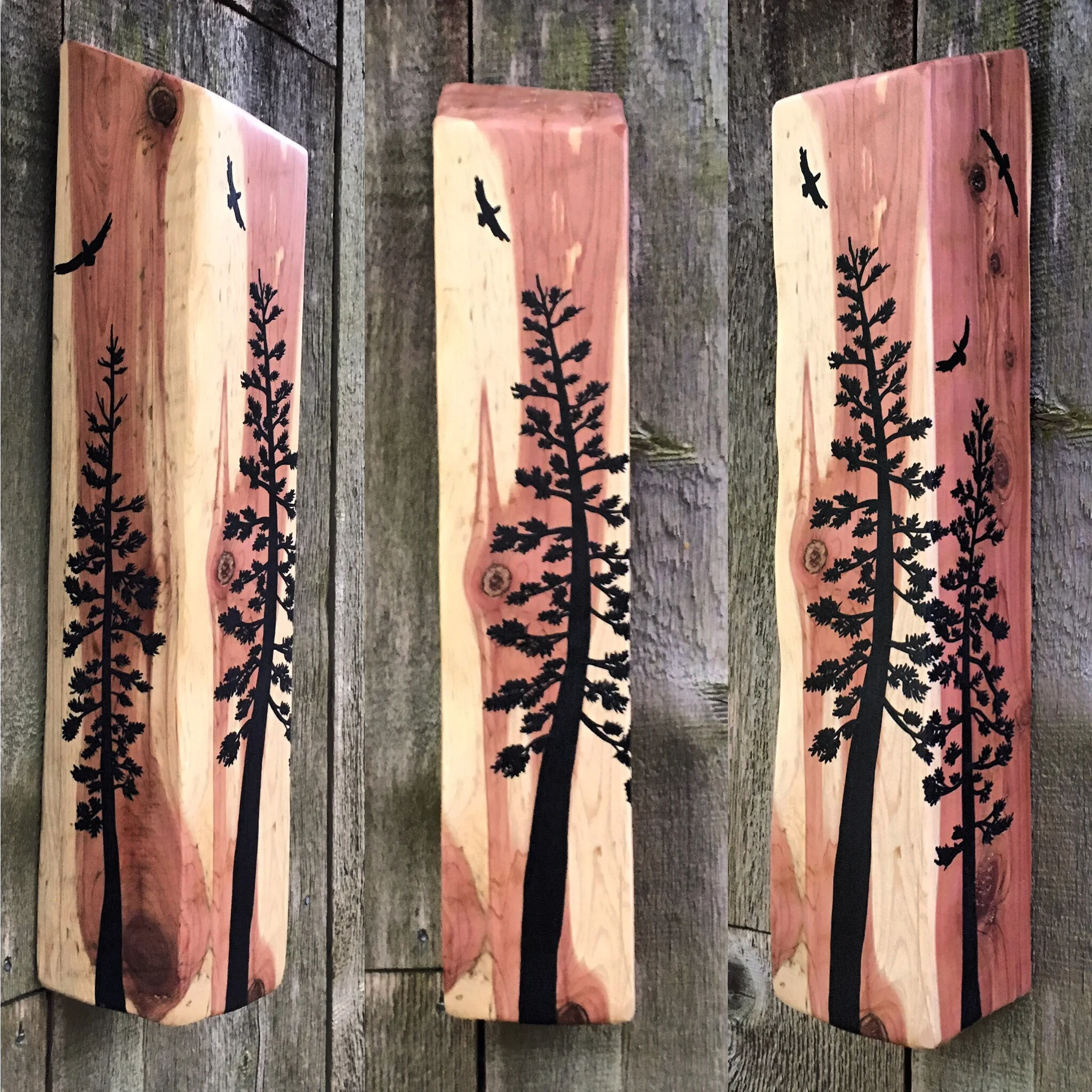 Wobble Trees on an Old Cedar Trail Sign Post