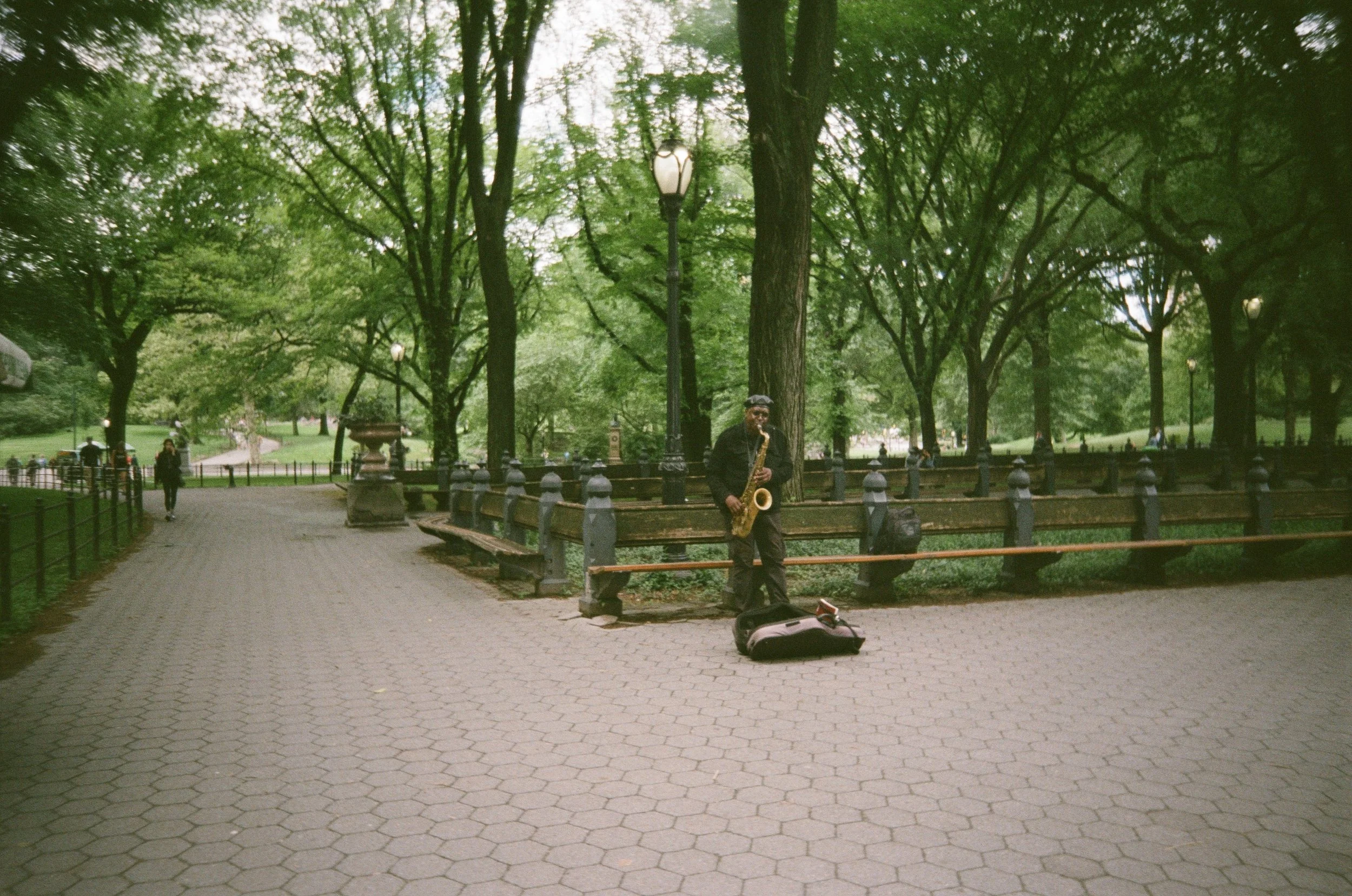 CENTRAL PARK, NEW YORK | JUNE 2019