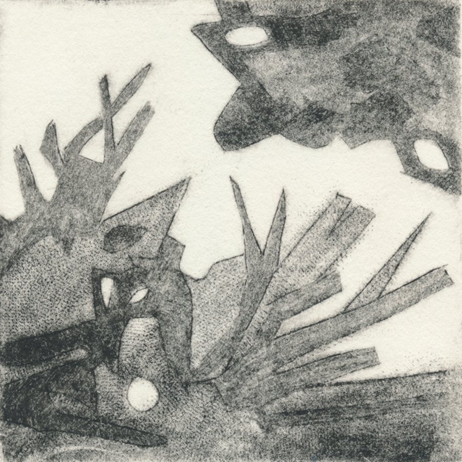 Cancer # 11
