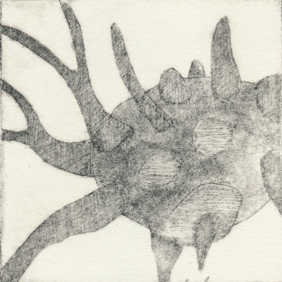 Cancer # 12