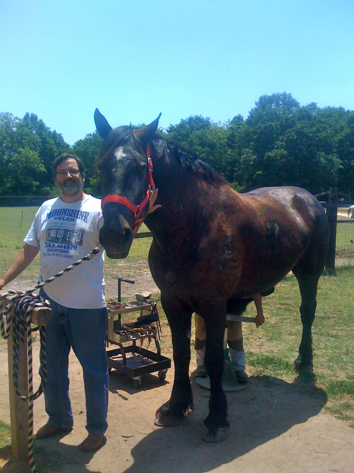 With my buddy’s percheron.