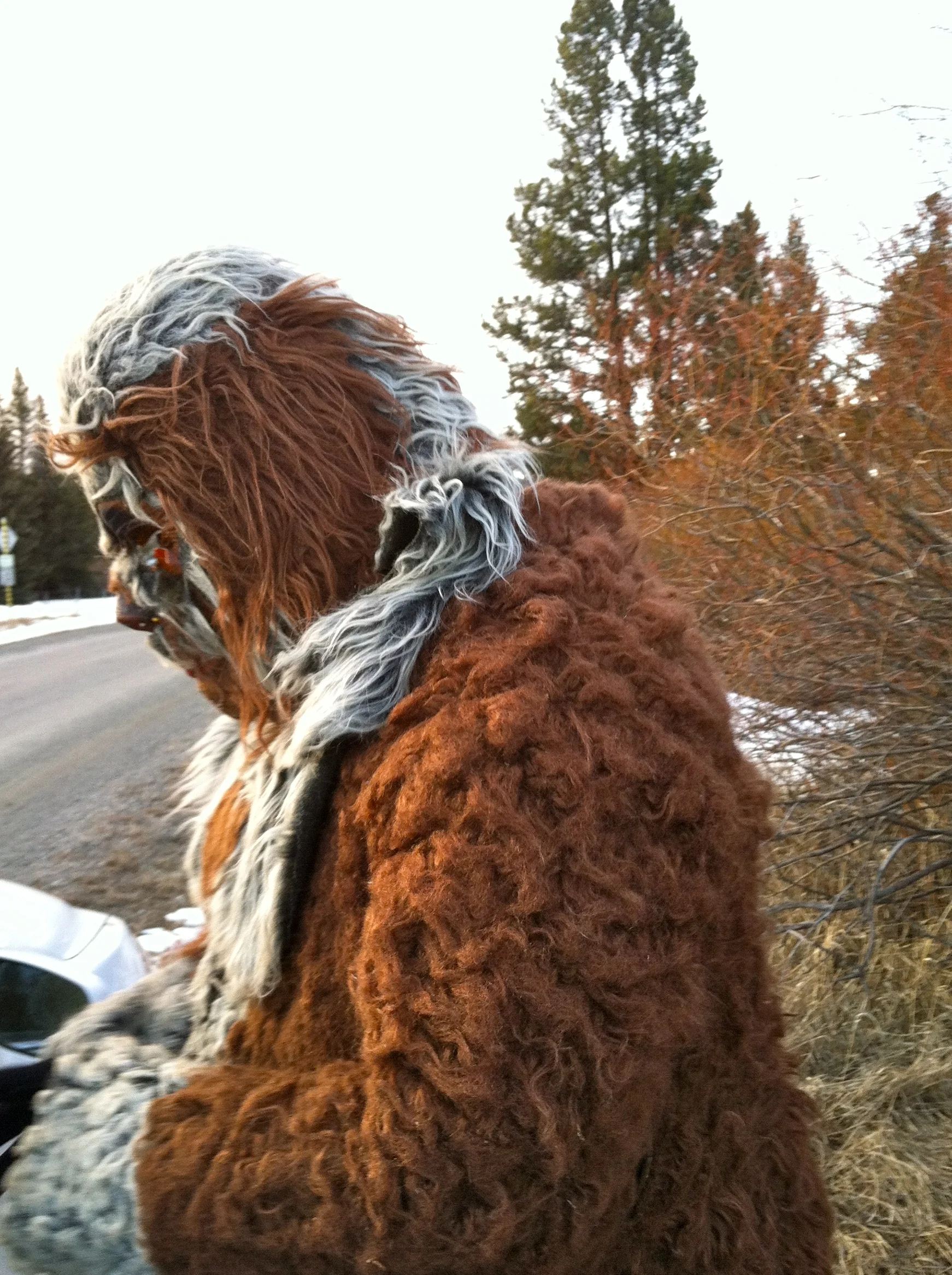 John Peskey, a.k.a. “Bigfoot” annual “Bigfoot Hunt” in Elliston, MT.