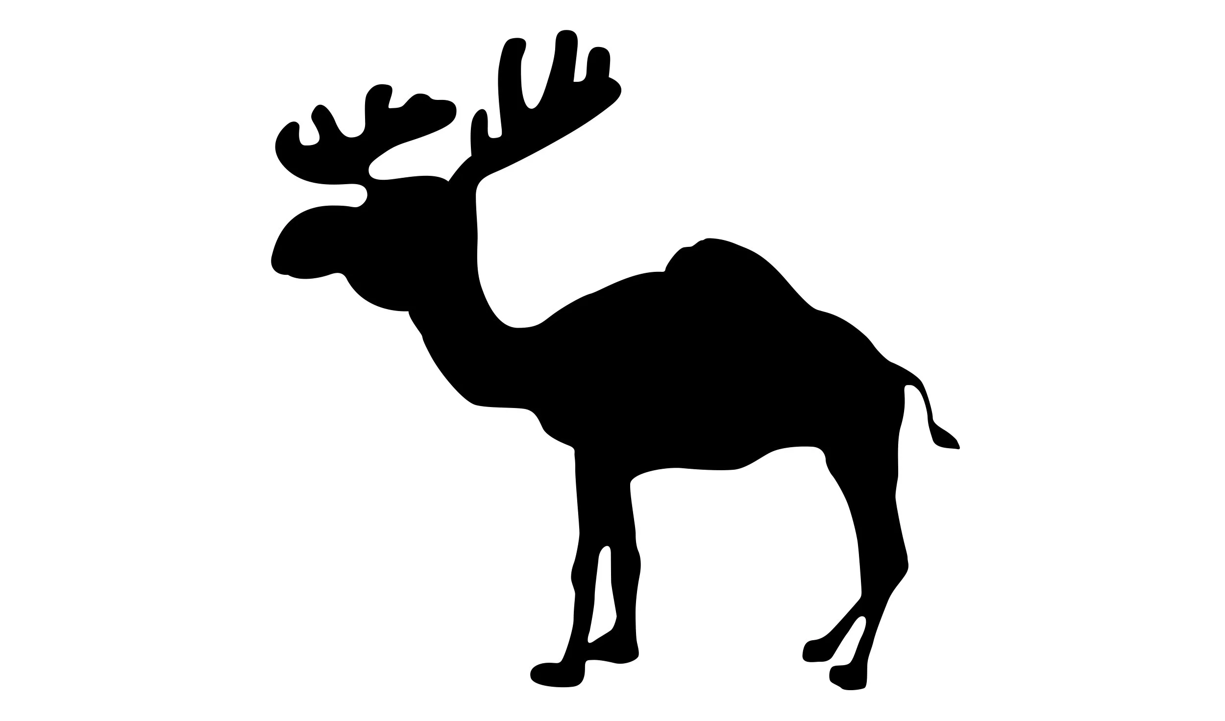 Abercrombie & Fitch + Camel