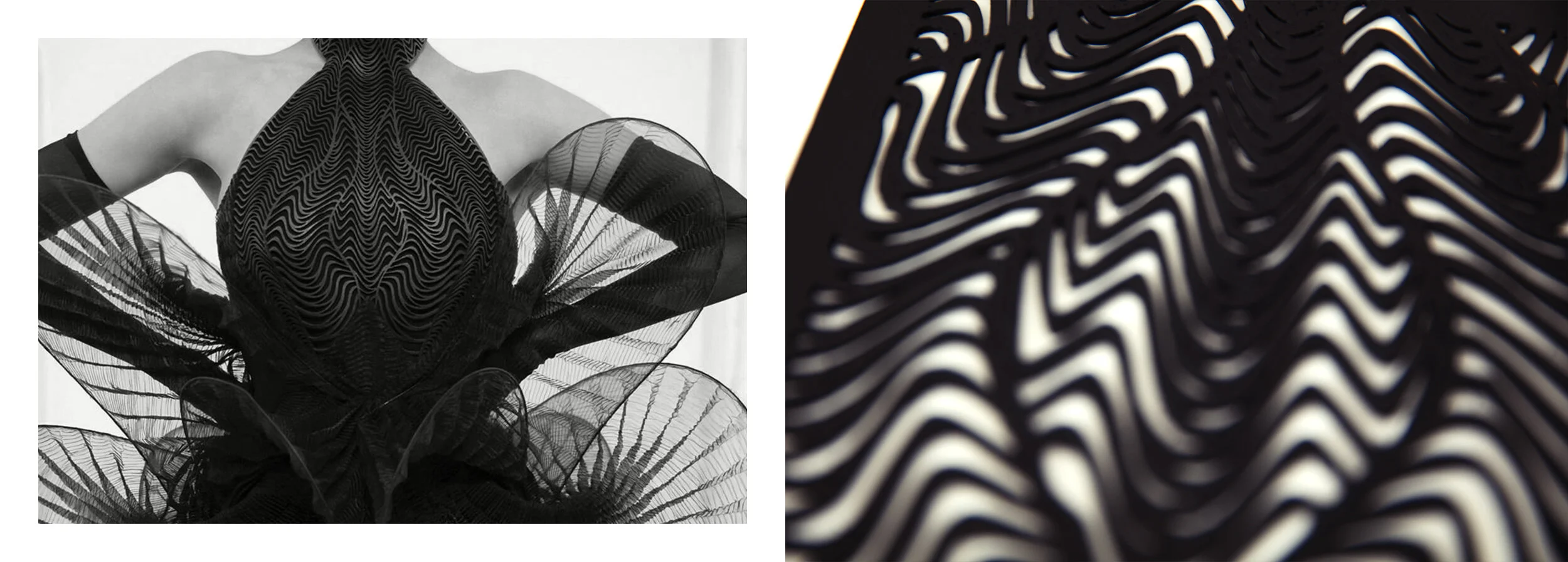 Pattern - detail of Mimicry dress