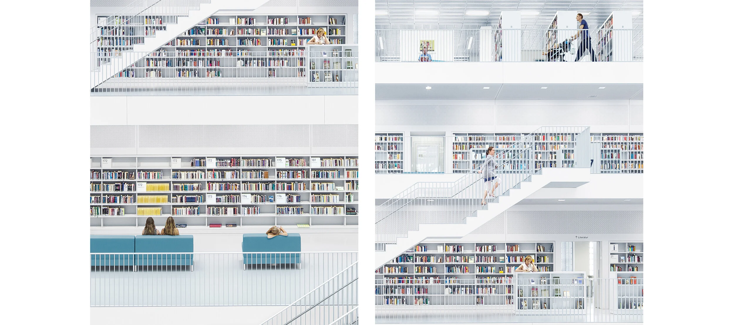 abastian_library03.jpg
