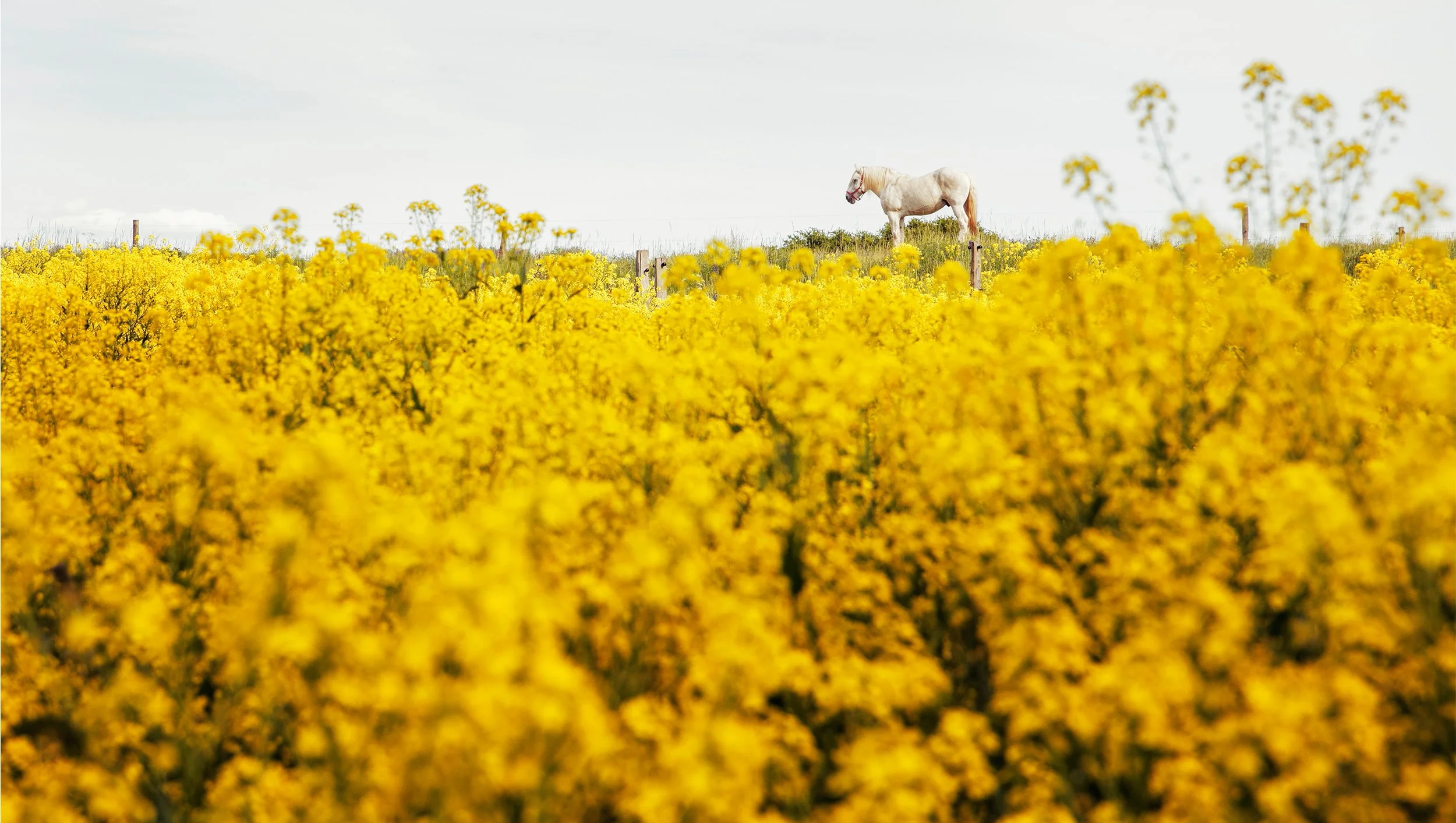 abastian_uckermark_09.jpg