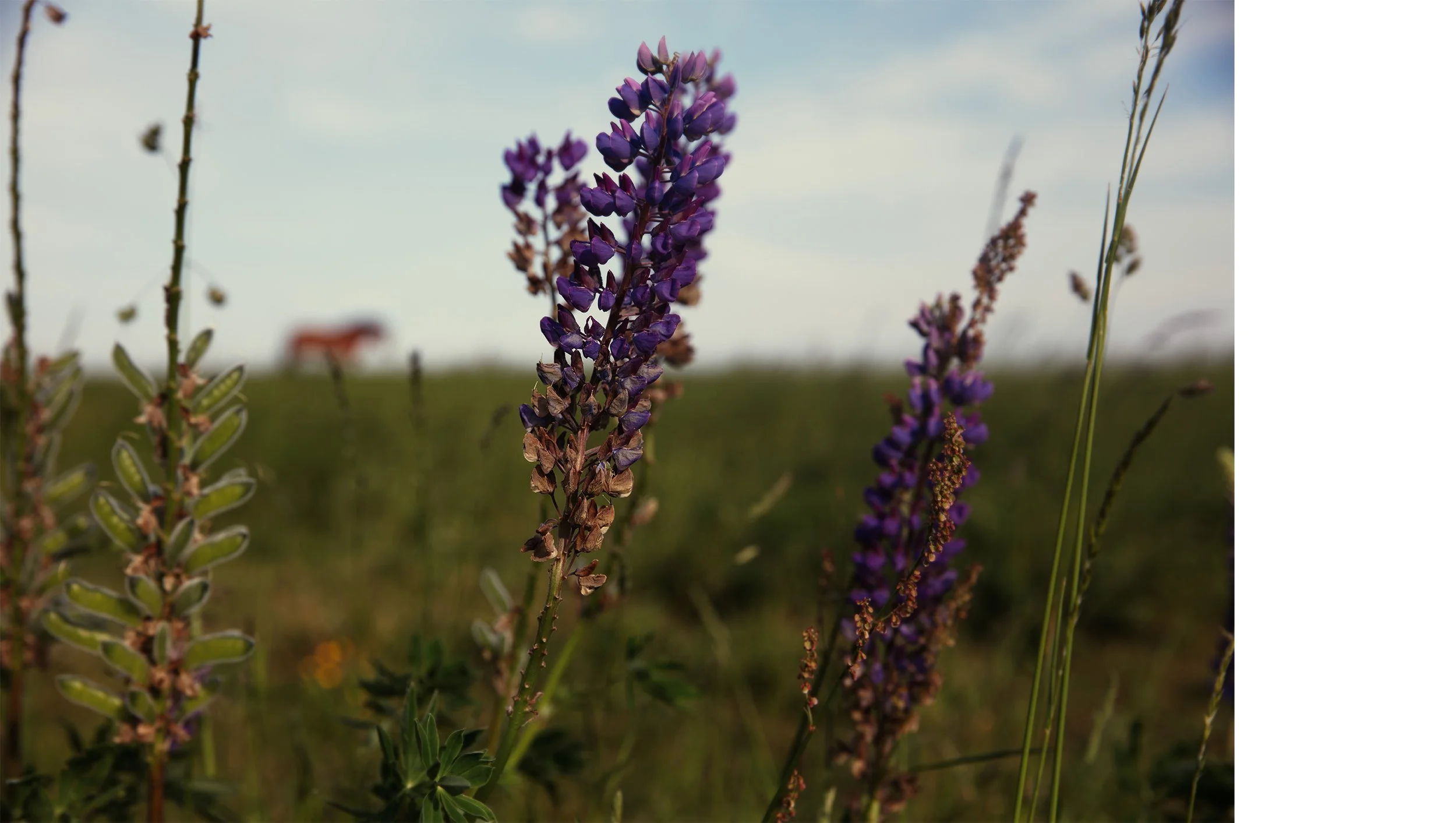 abastian_uckermark_24.jpg