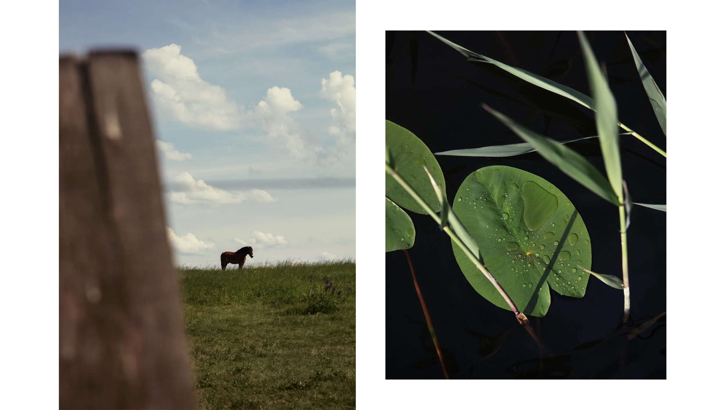 abastian_uckermark_27.jpg