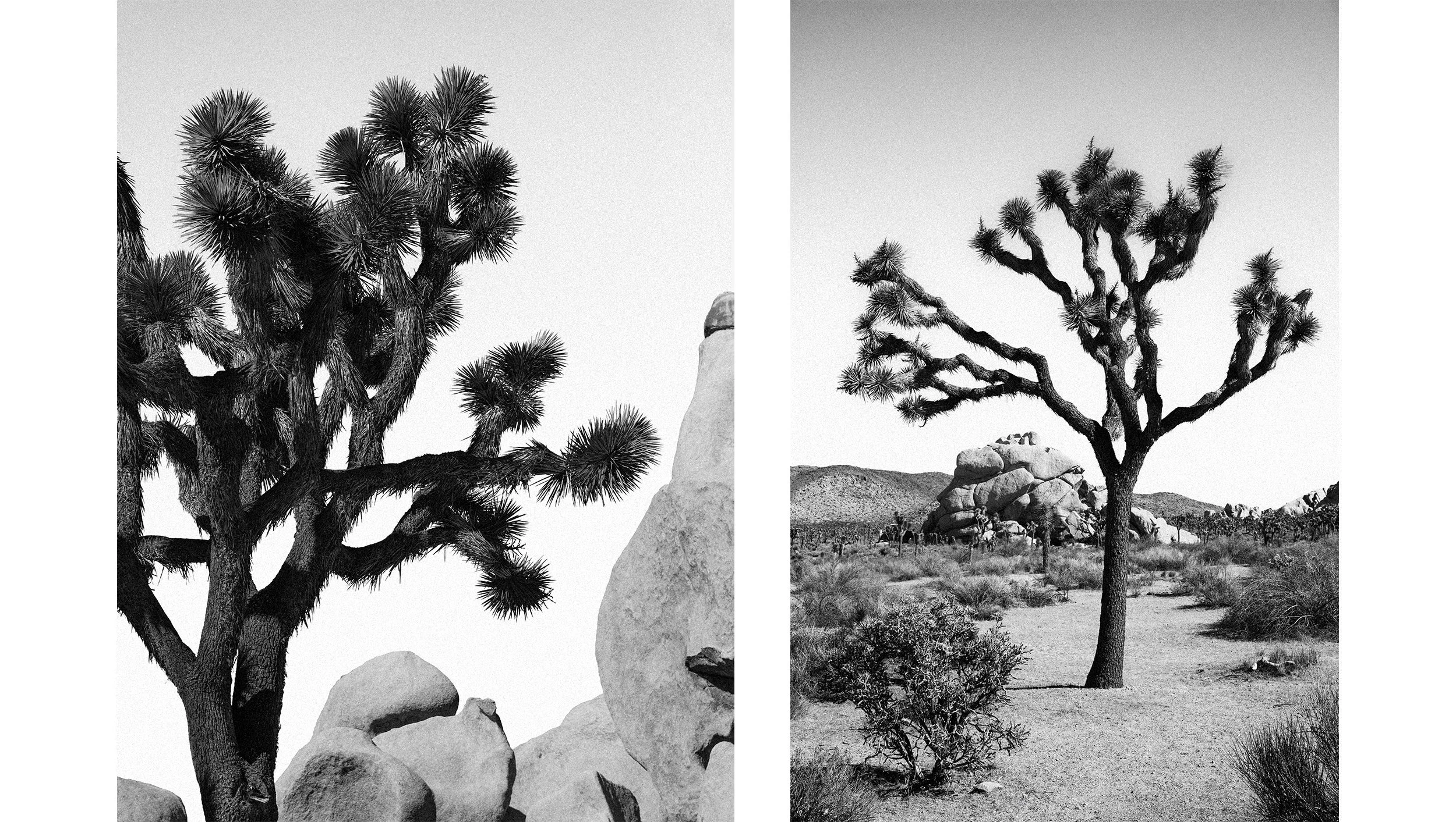 abastian_california_06.jpg