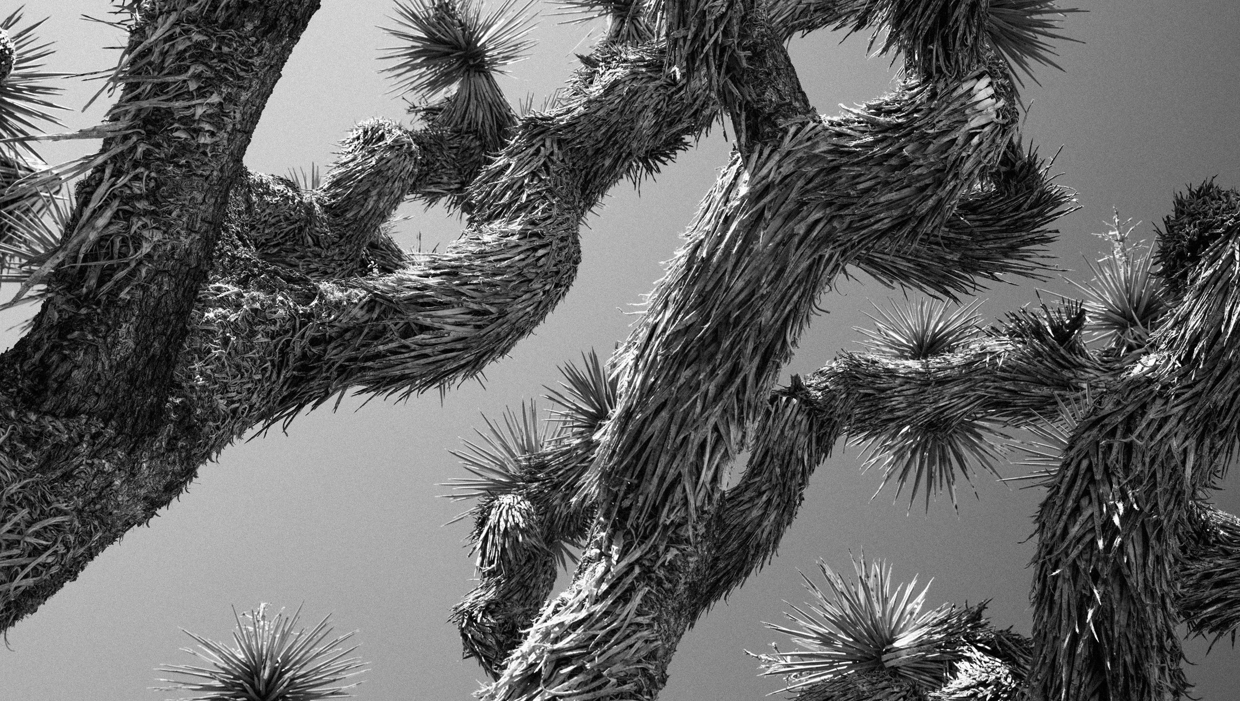 abastian_california_07.jpg