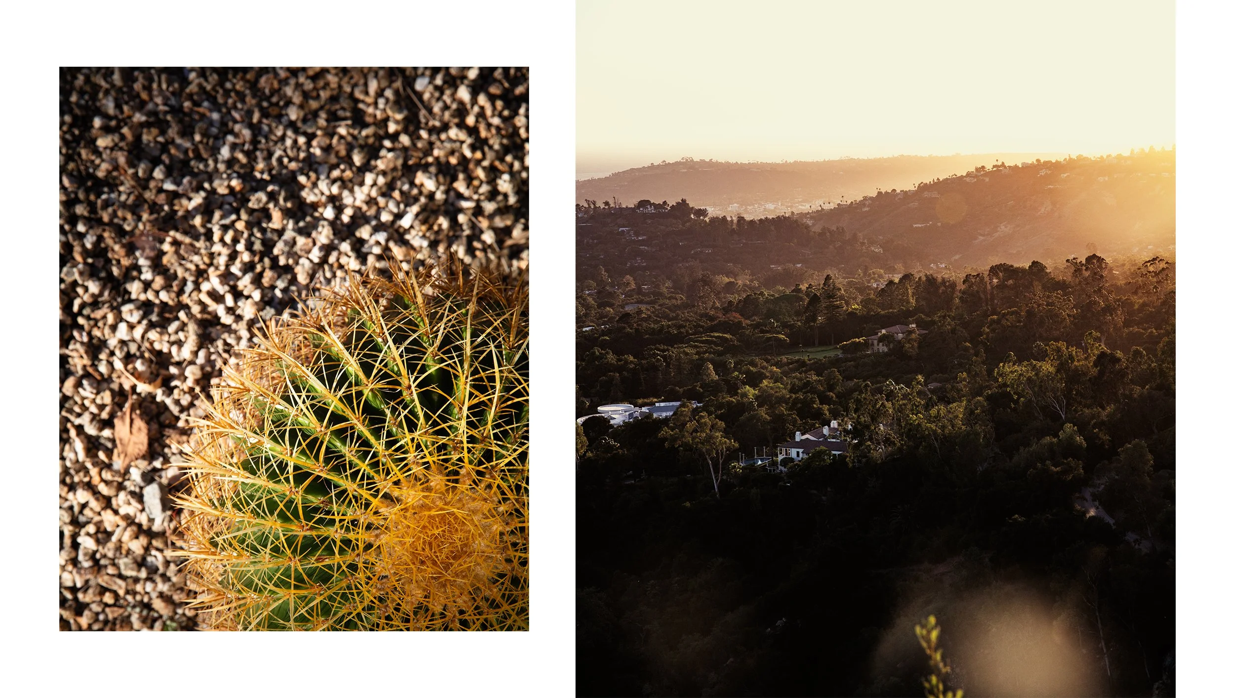 abastian_california_09.jpg