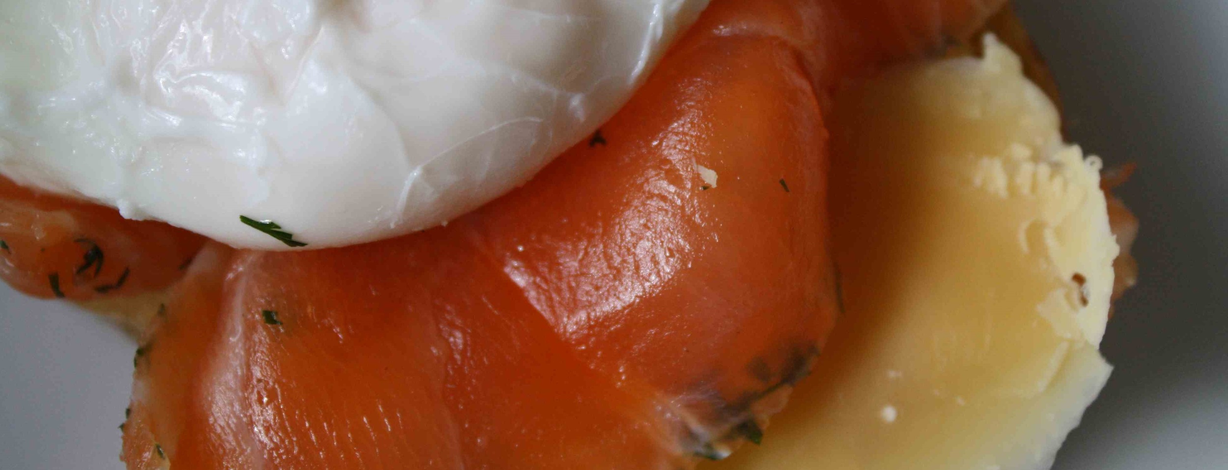 Cropped Salmon w Poached Egg.jpg