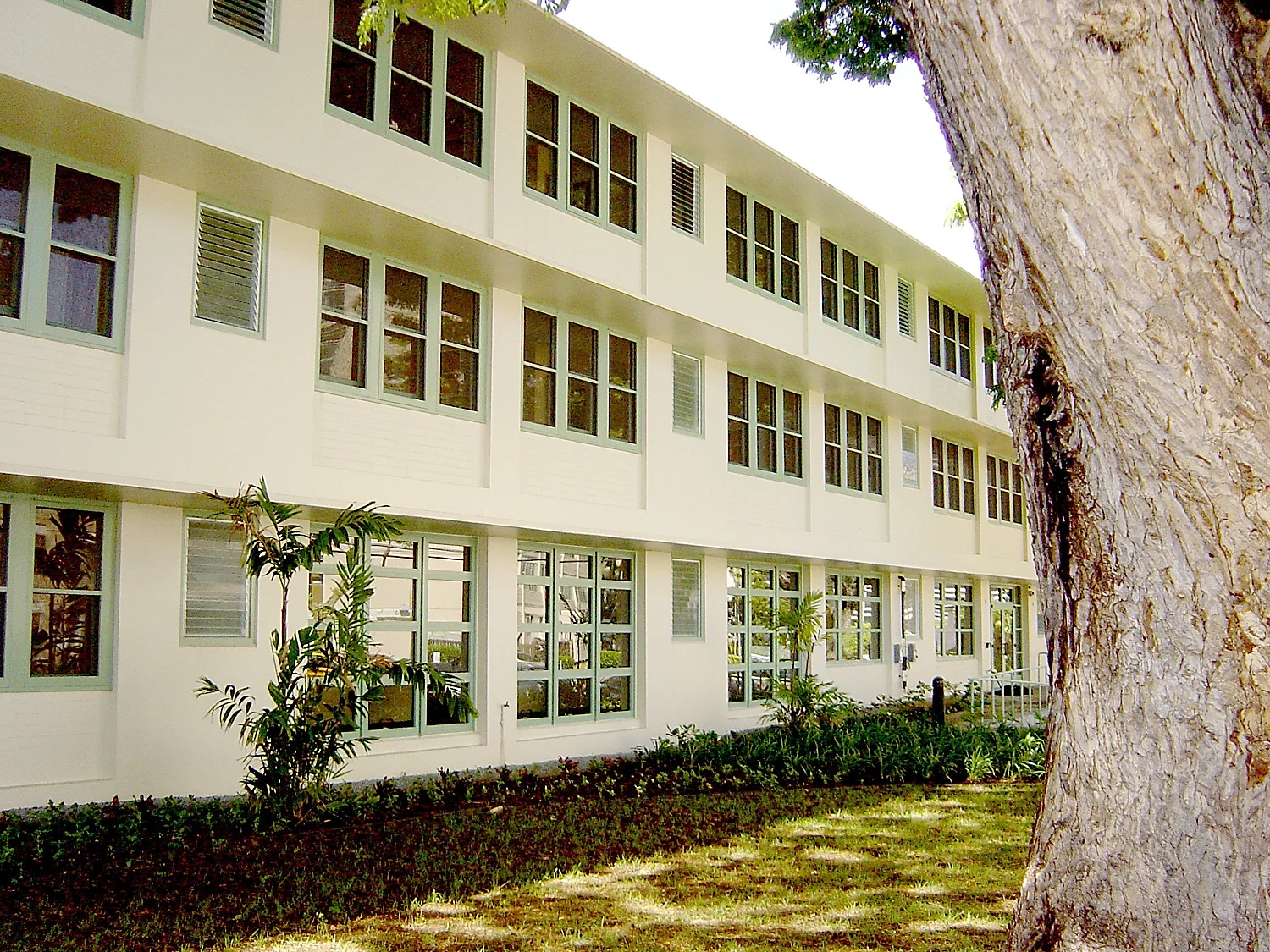 2006