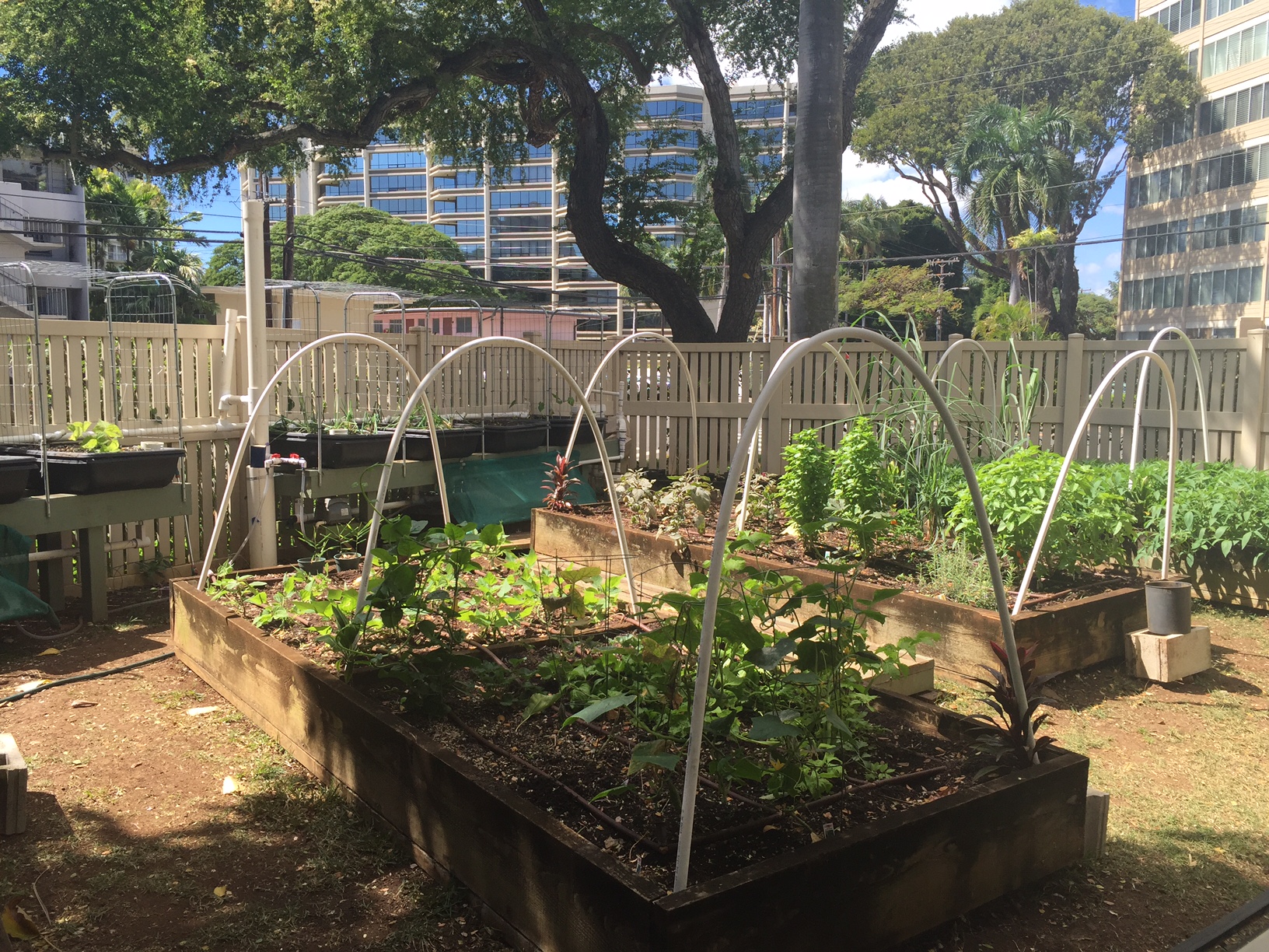 Fernhurst — YWCA O‘ahu