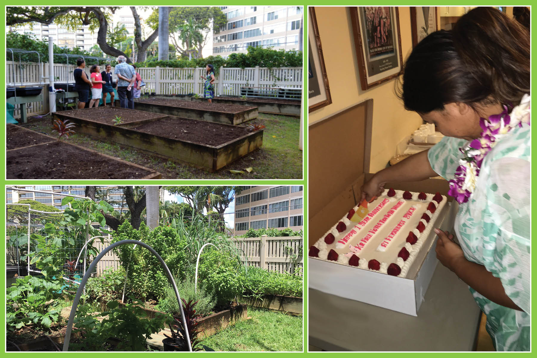 (Top left) YWCA O'ahu invited supporters to an Open House at Fernhurst YWCA last October and the photo below shows the growth of the Fernhurst community garden, overflowing with sweet potato and lemongrass. (Right) Fernhurst YWCA Program Manager Talia Cardines cut the cake at the one-year anniversary celebration of Ka Hale Ho'āla Hou No Nā Wāhine at YWCA O'ahu. 