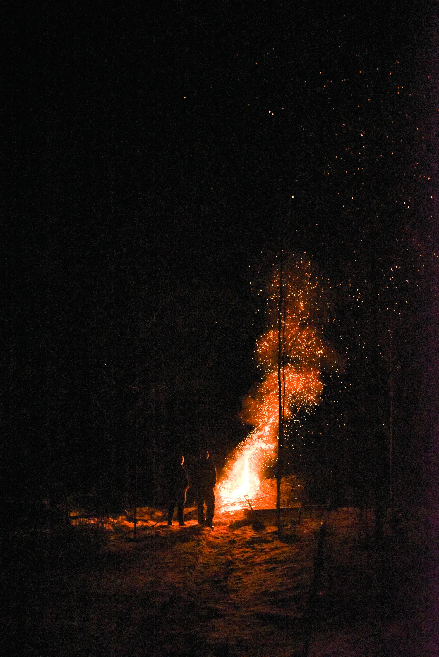 photo-22.jpg