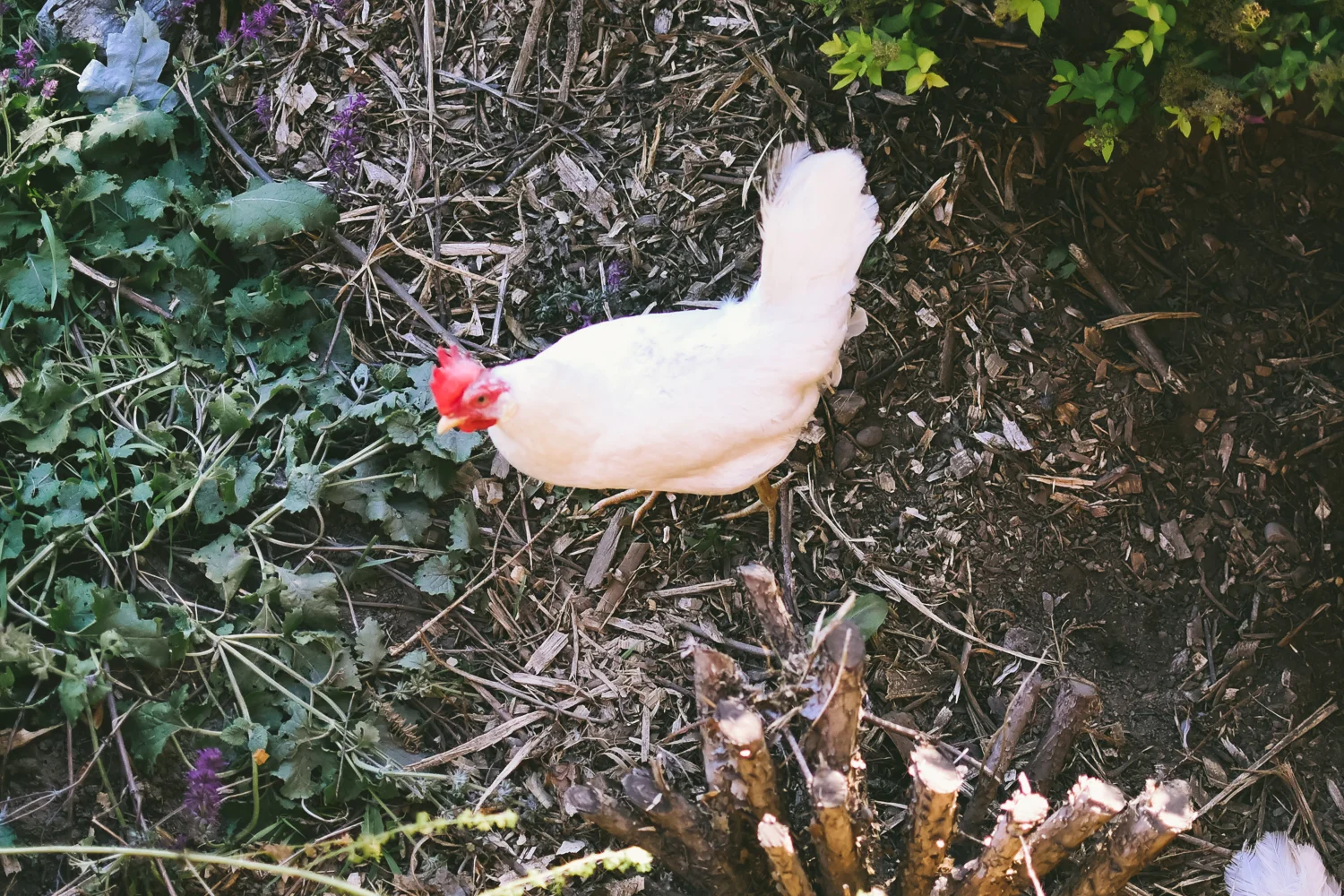Photo-10.jpg