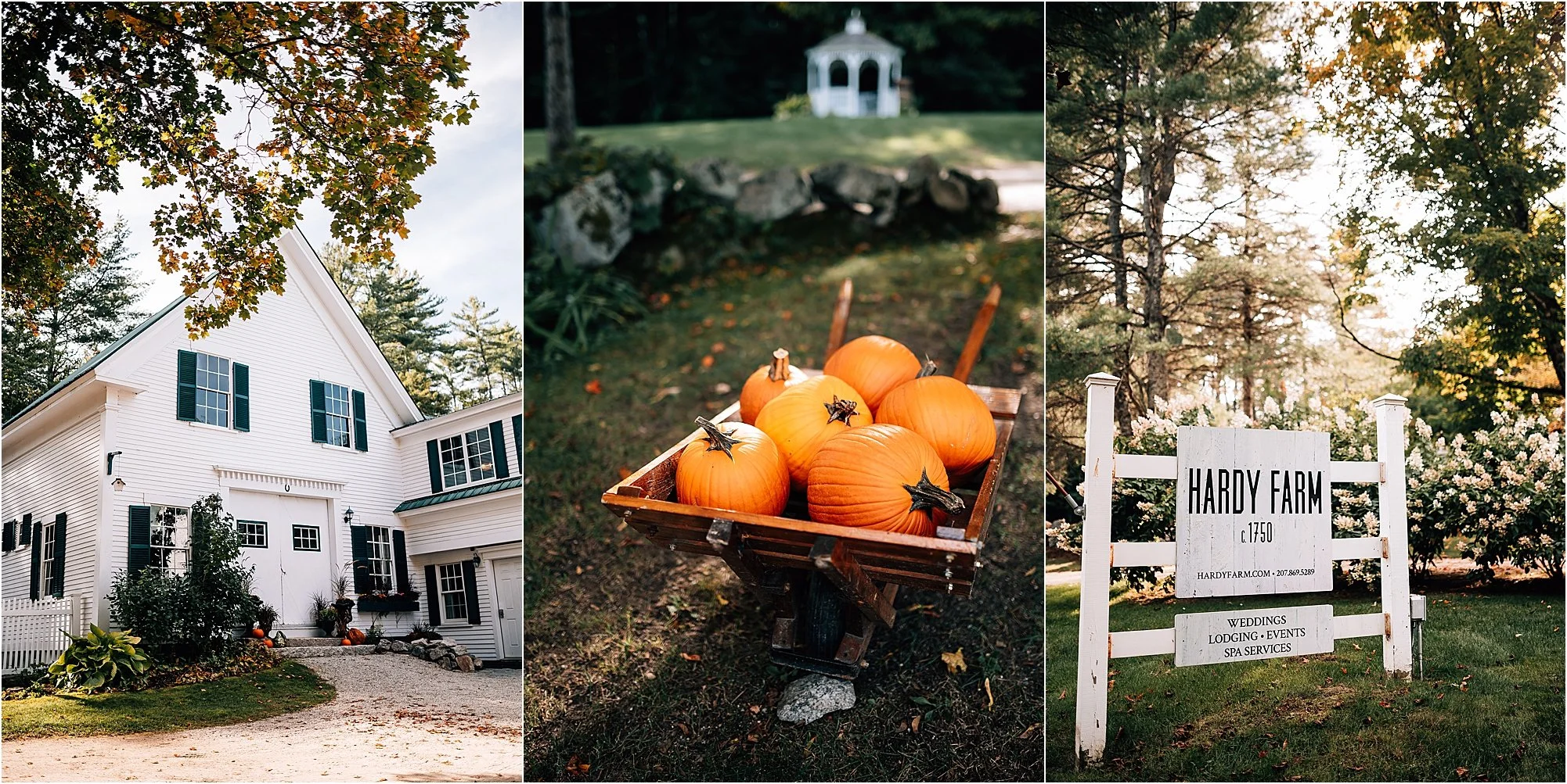 Alexandra & Kane Hardy Farm Fryeburg, Maine — CAIT BOURGAULT PHOTOGRAPHY