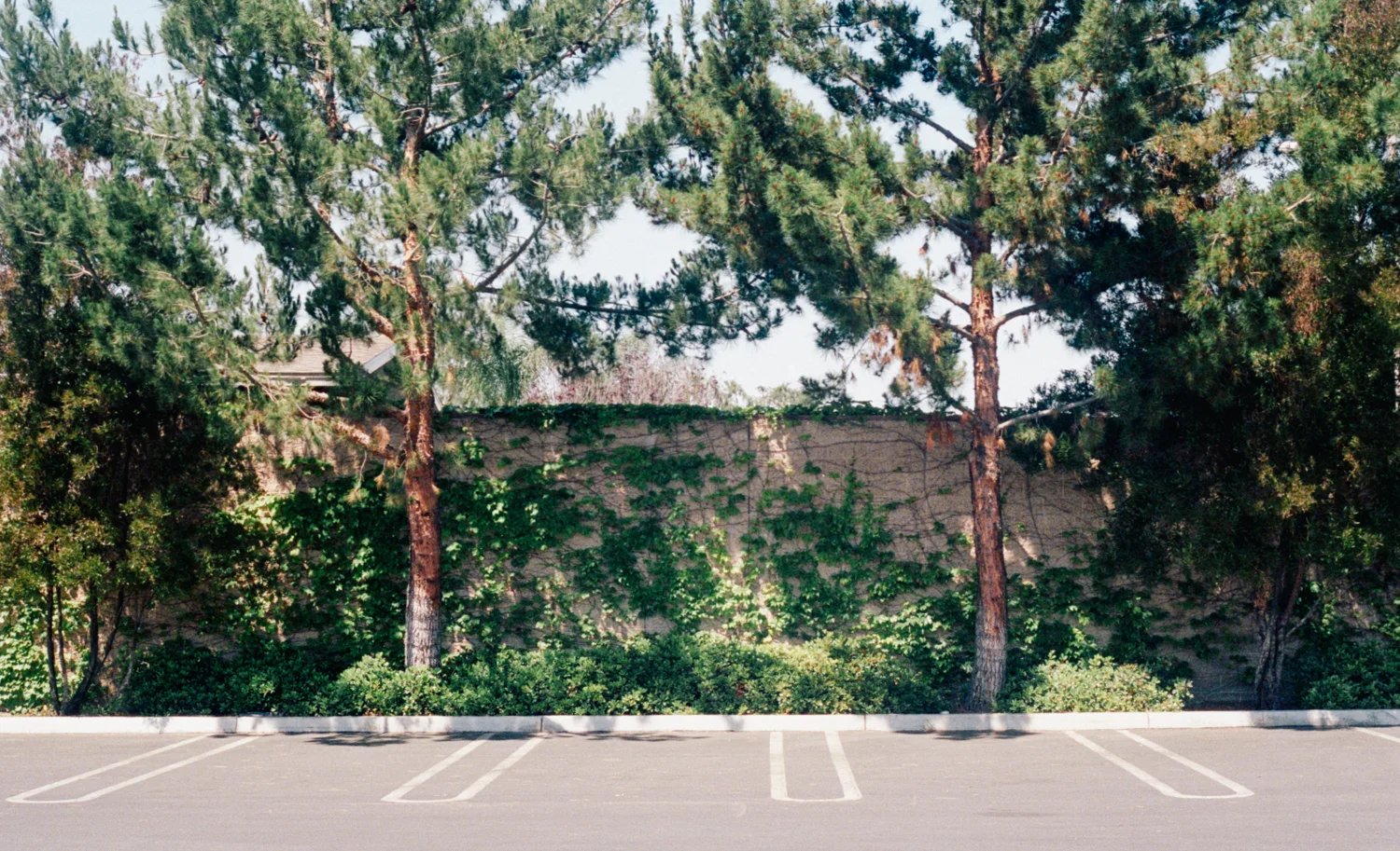 film-6.jpg