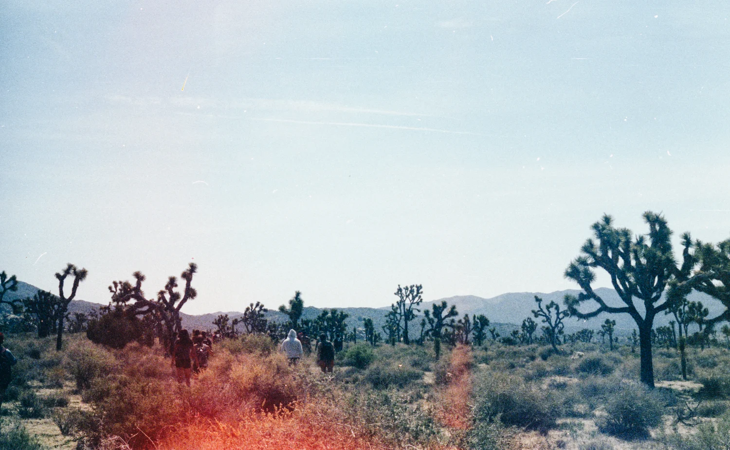 film-22.jpg