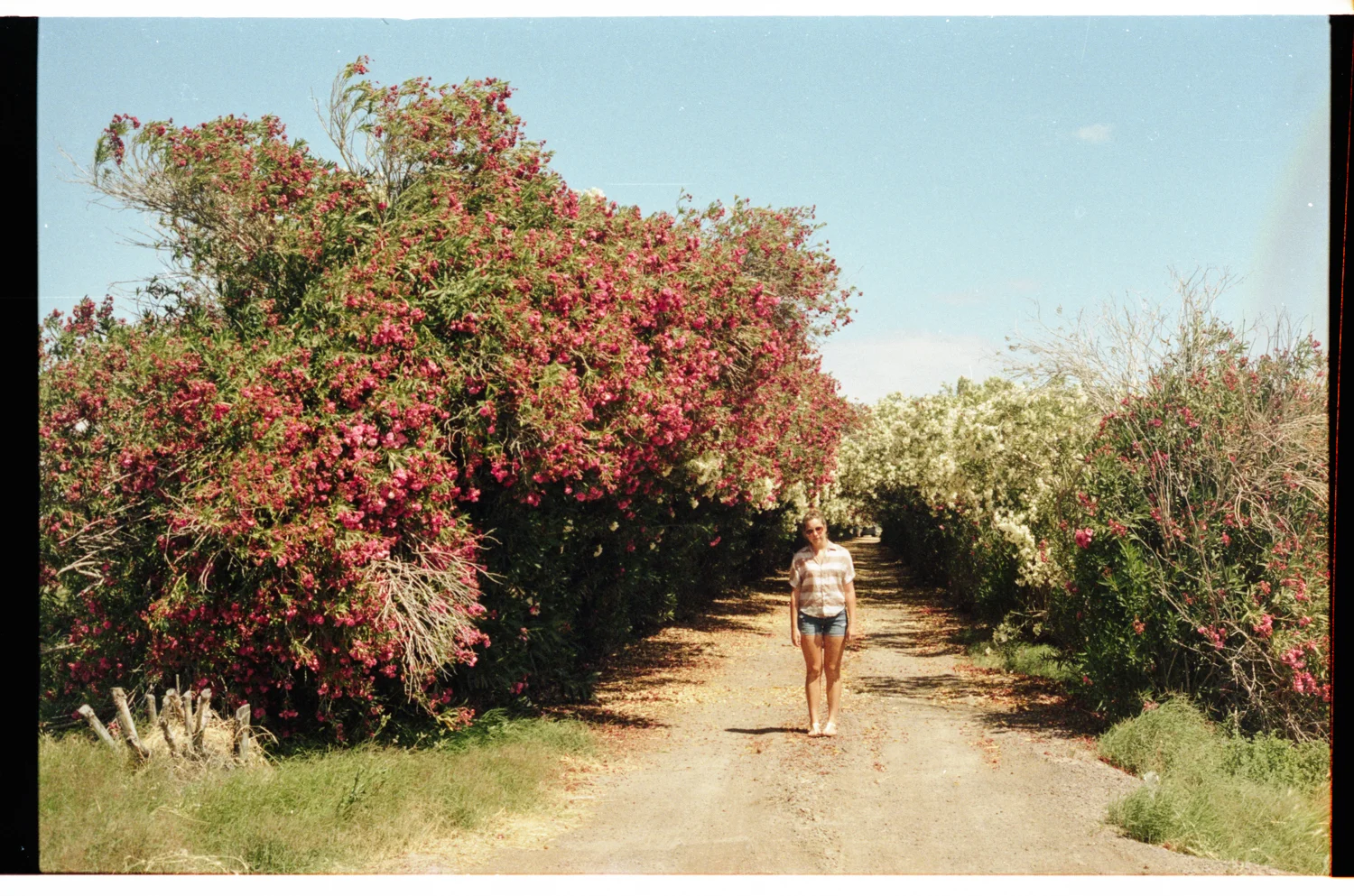 film-26.jpg