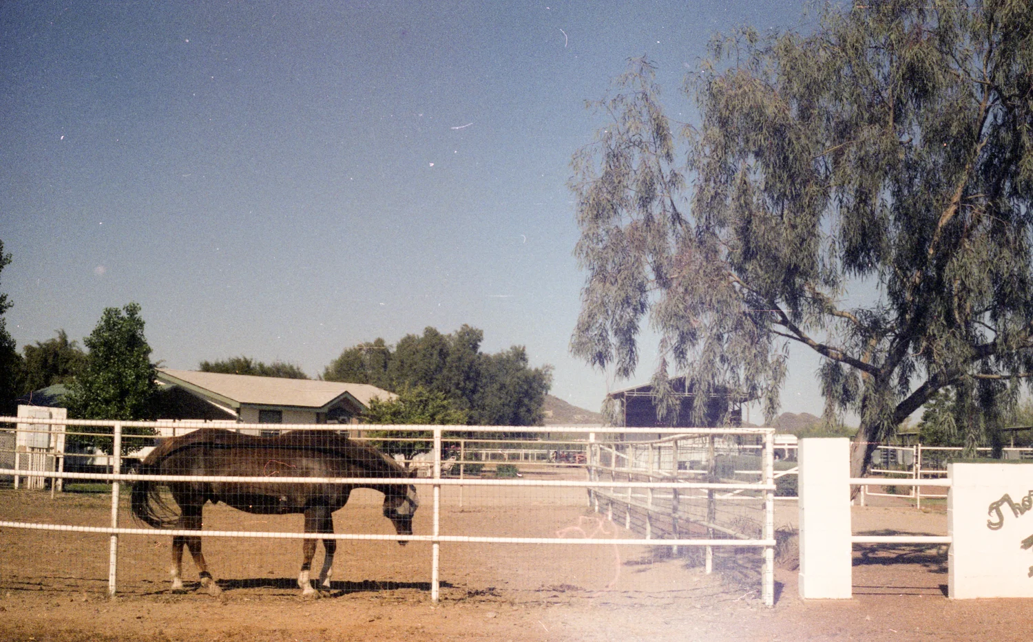 film-25.jpg