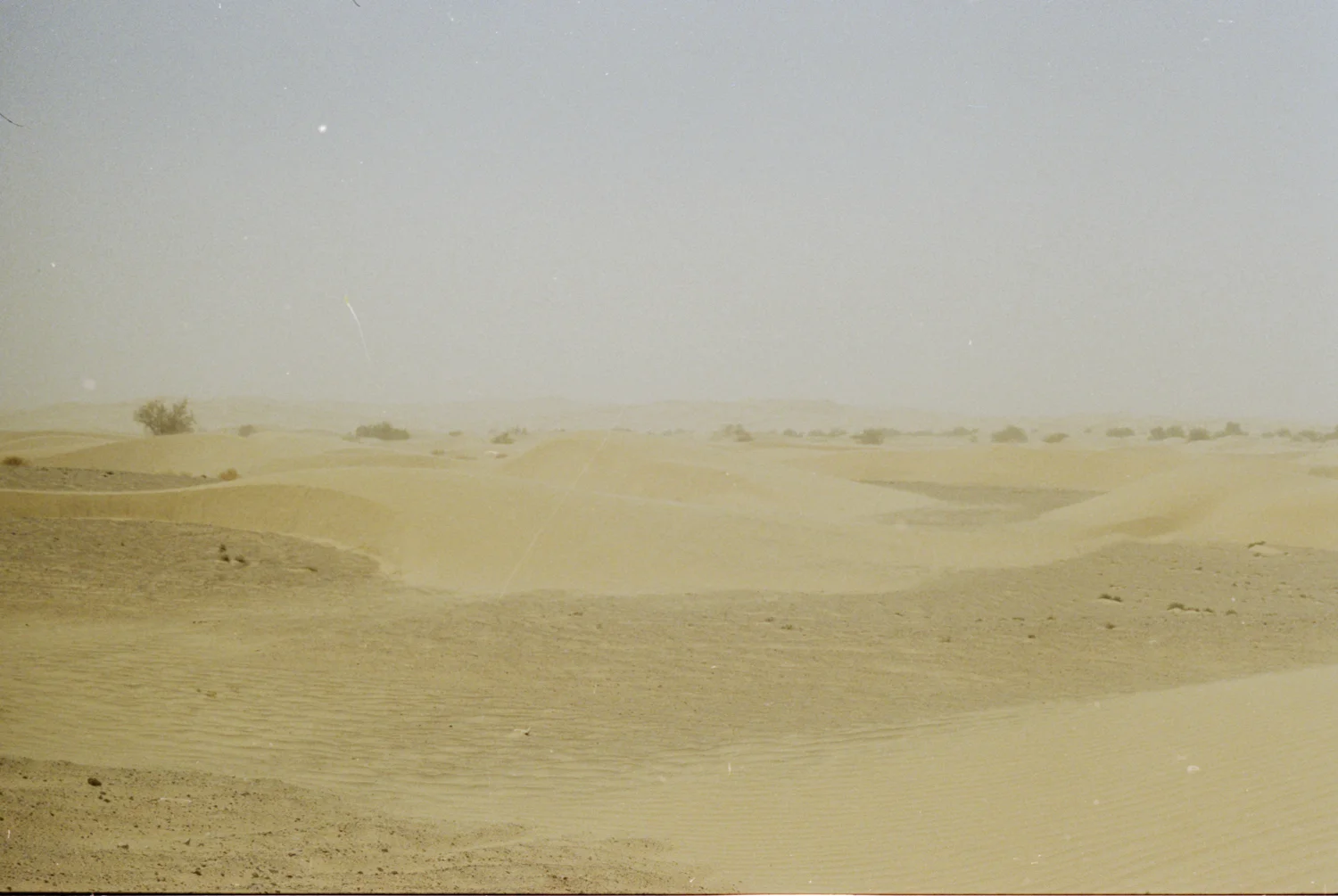 film-27.jpg